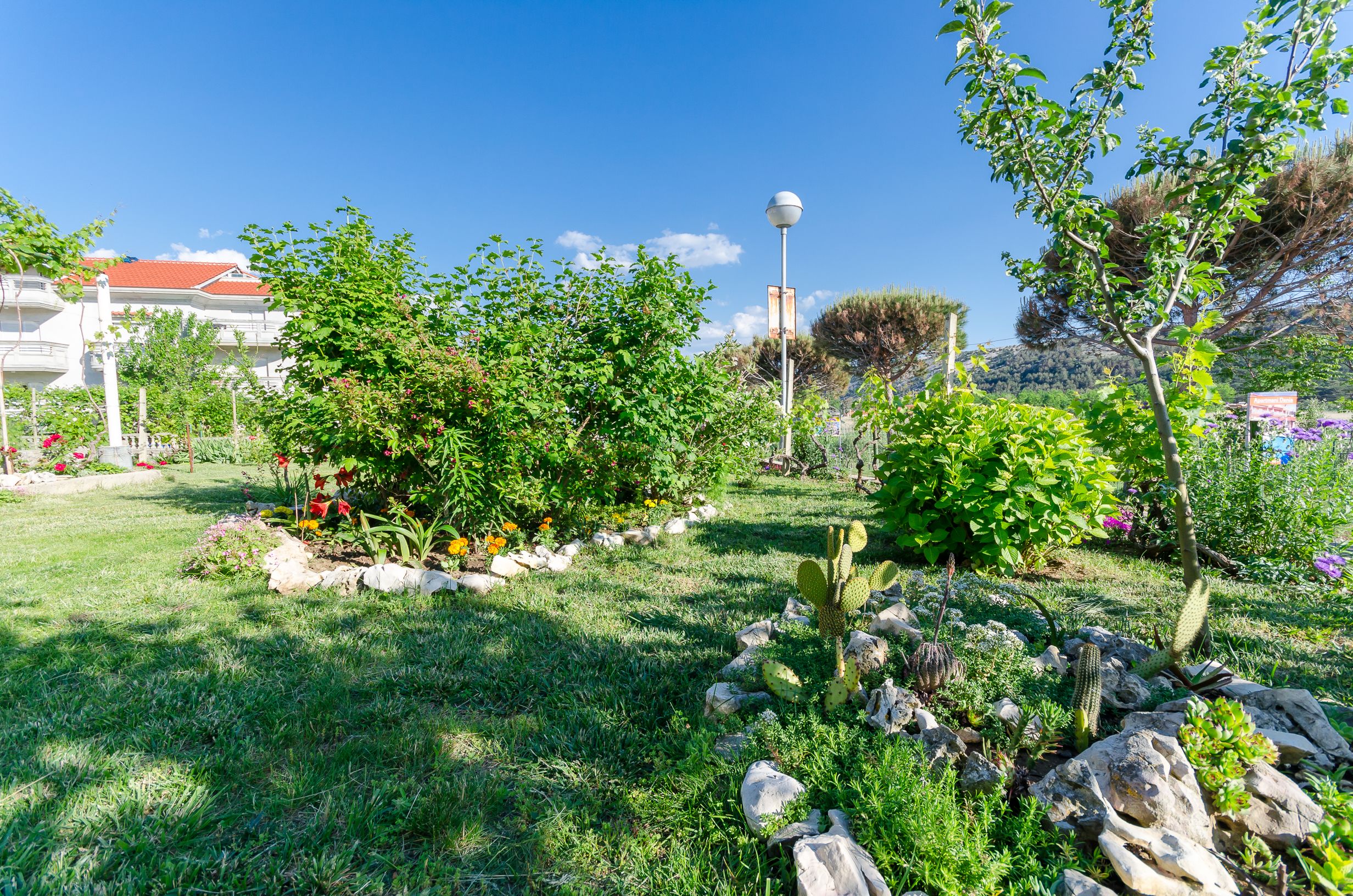 Apartments Joka 85881-A1