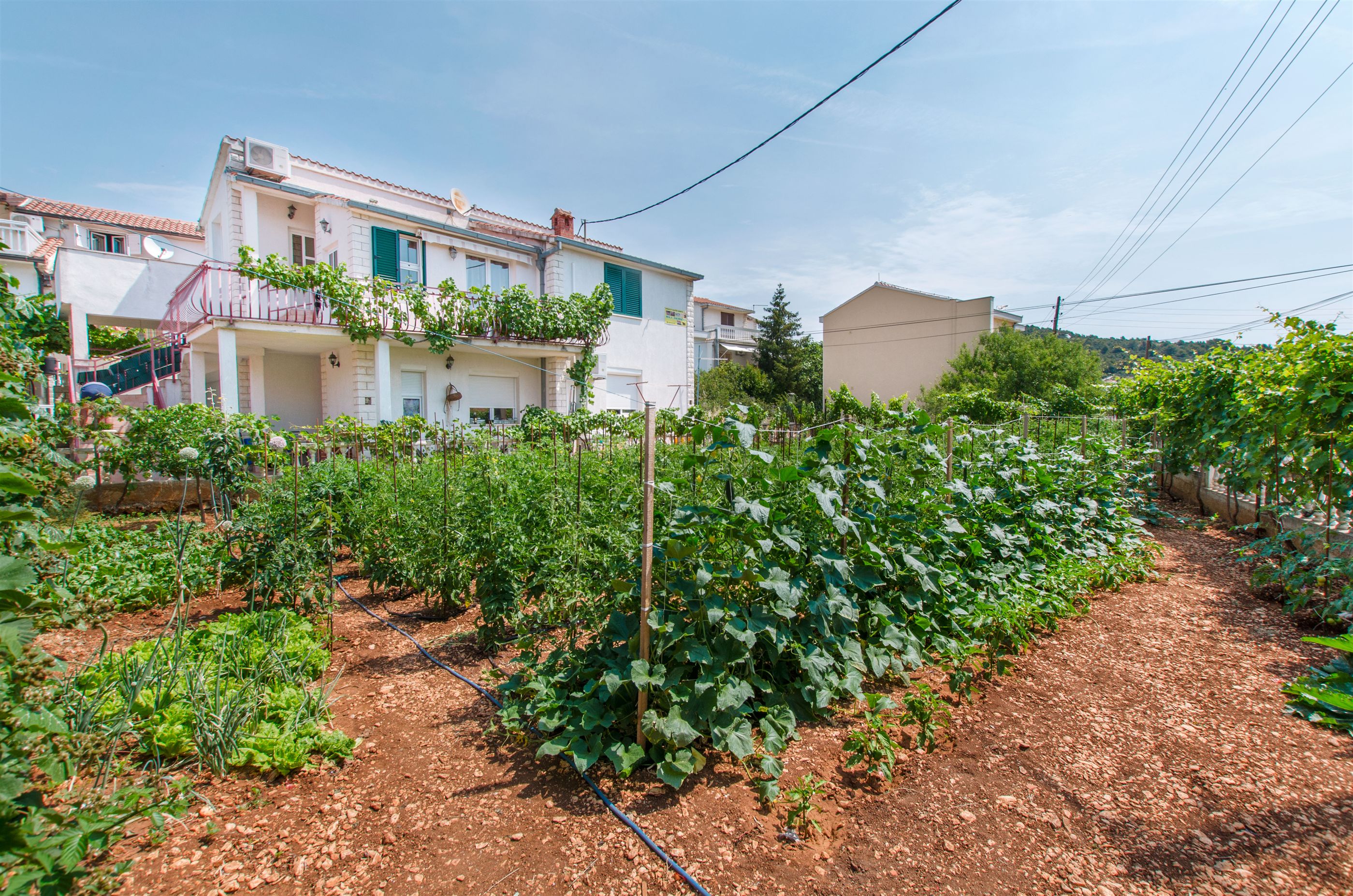 Apartments Mala Dalmacija 29691-A2