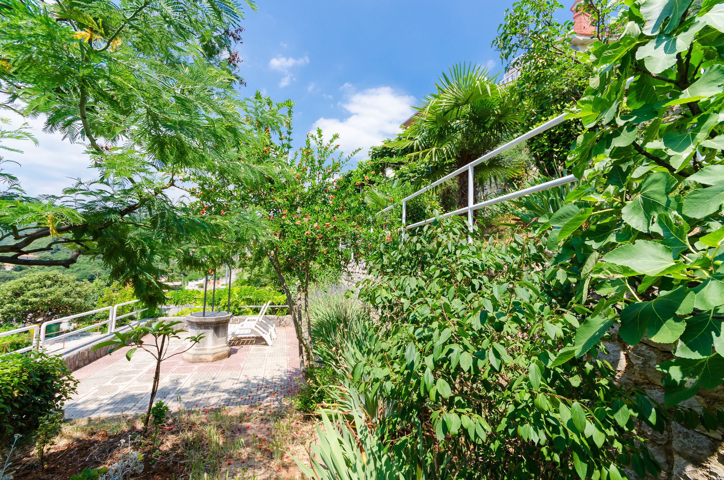 Apartments Mandica 74861-A1