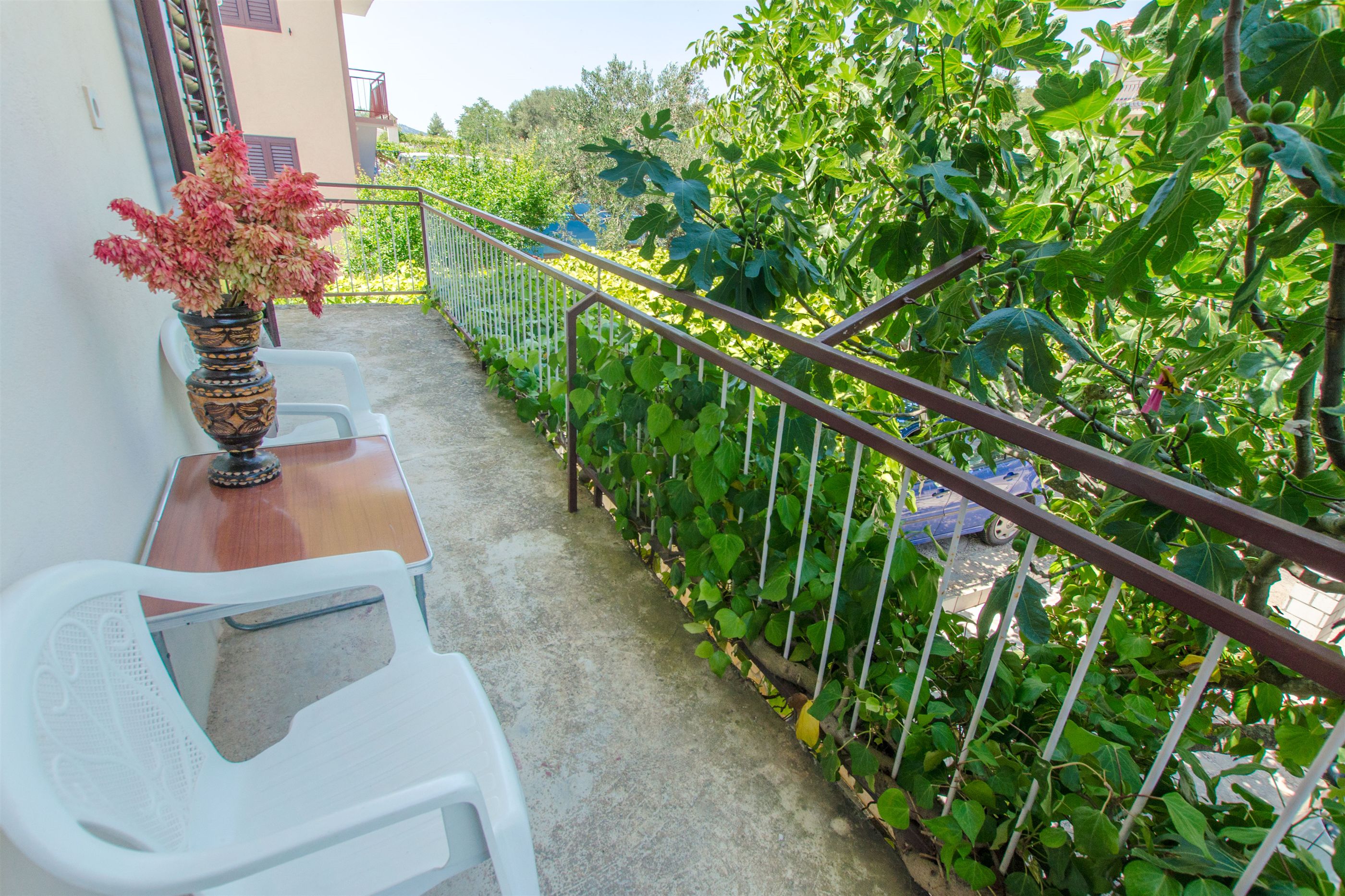 Apartments Božjidar 33601-A5