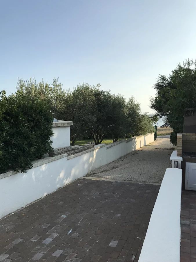 Apartments Pavle 39231-A2