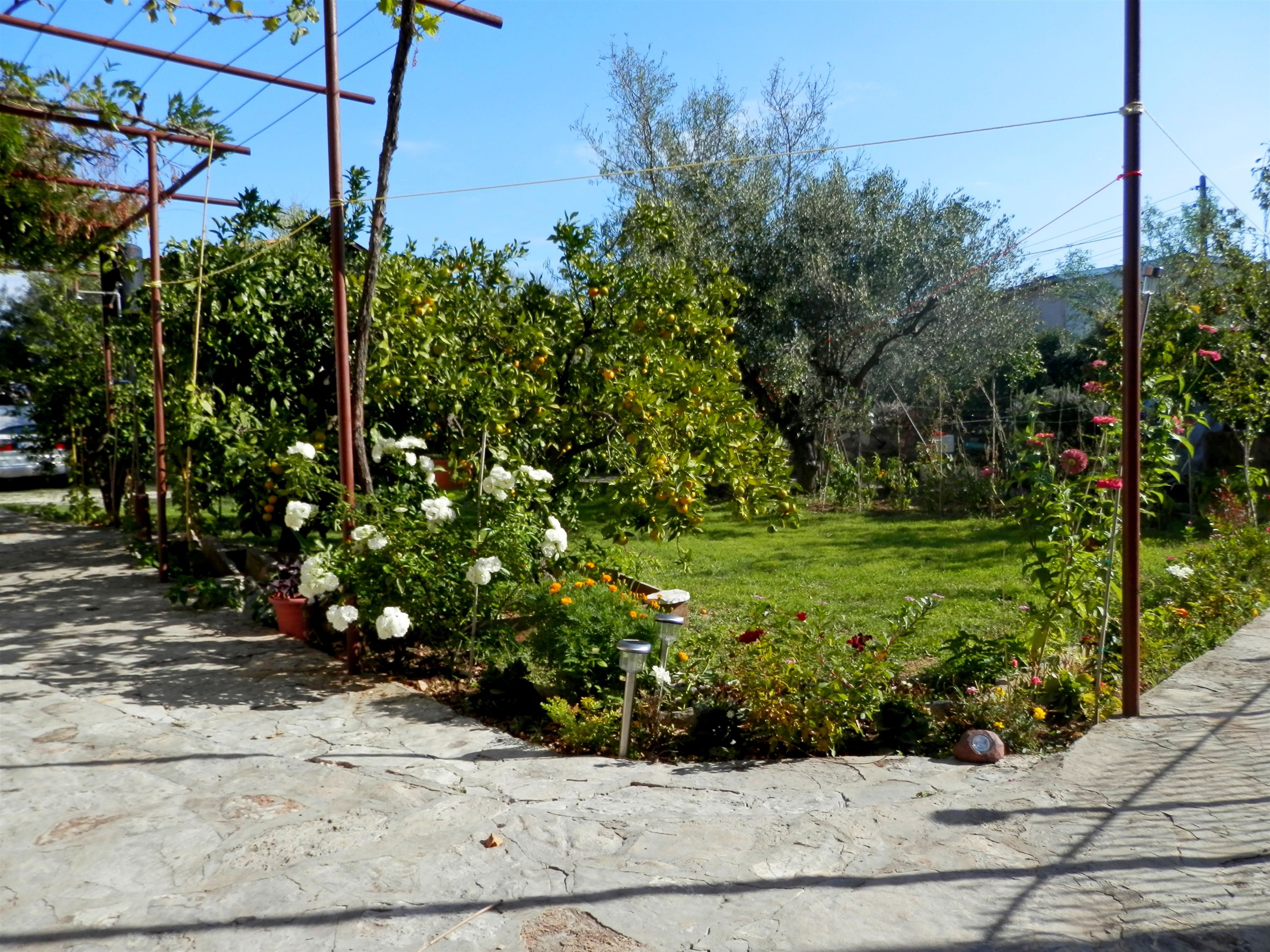 Apartments Zuljevic 39621-A2