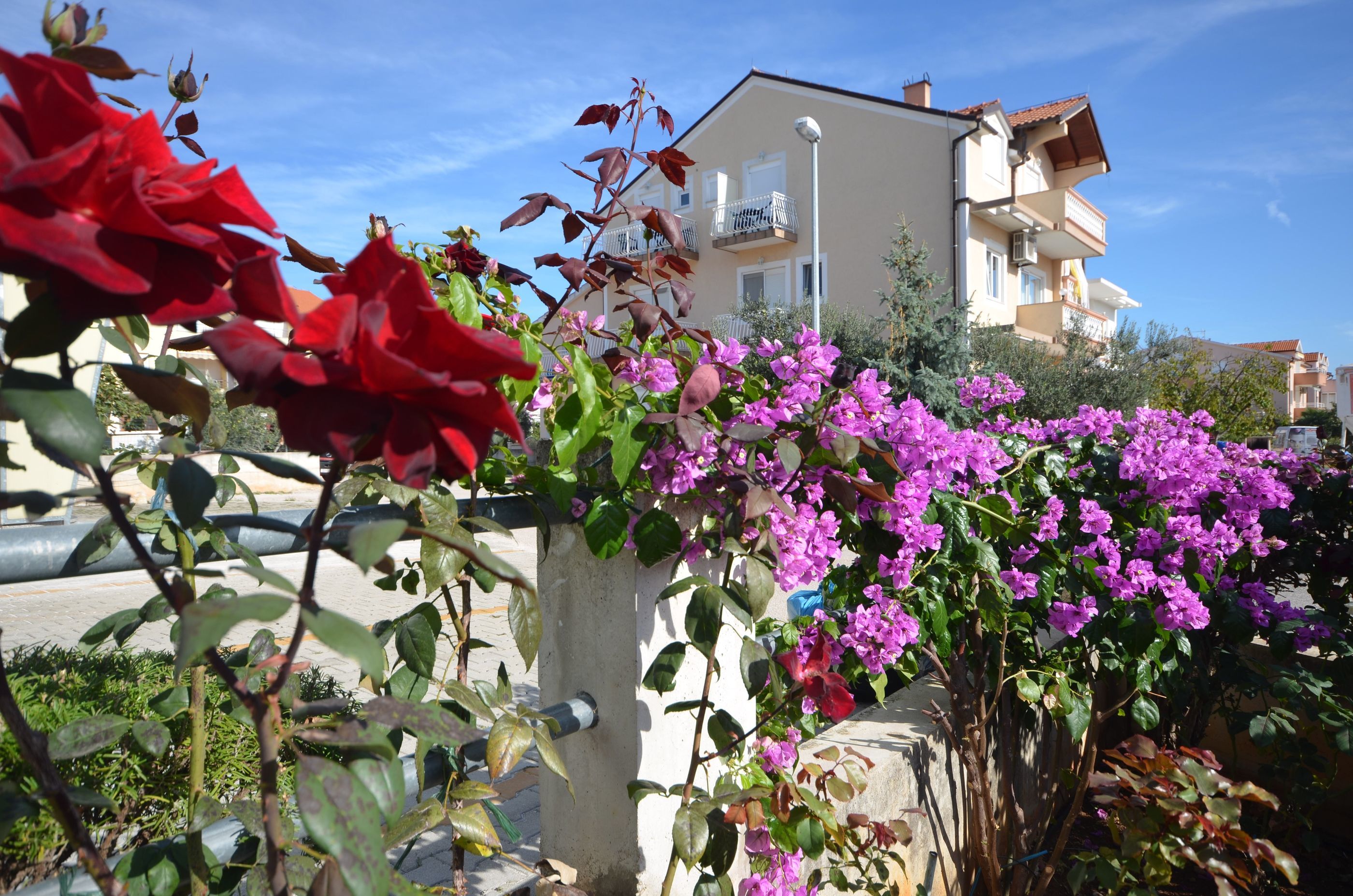 Apartments Mara 39491-A2