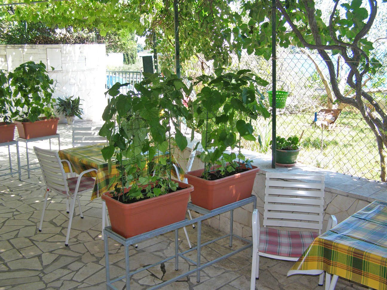 Apartment Željka A2