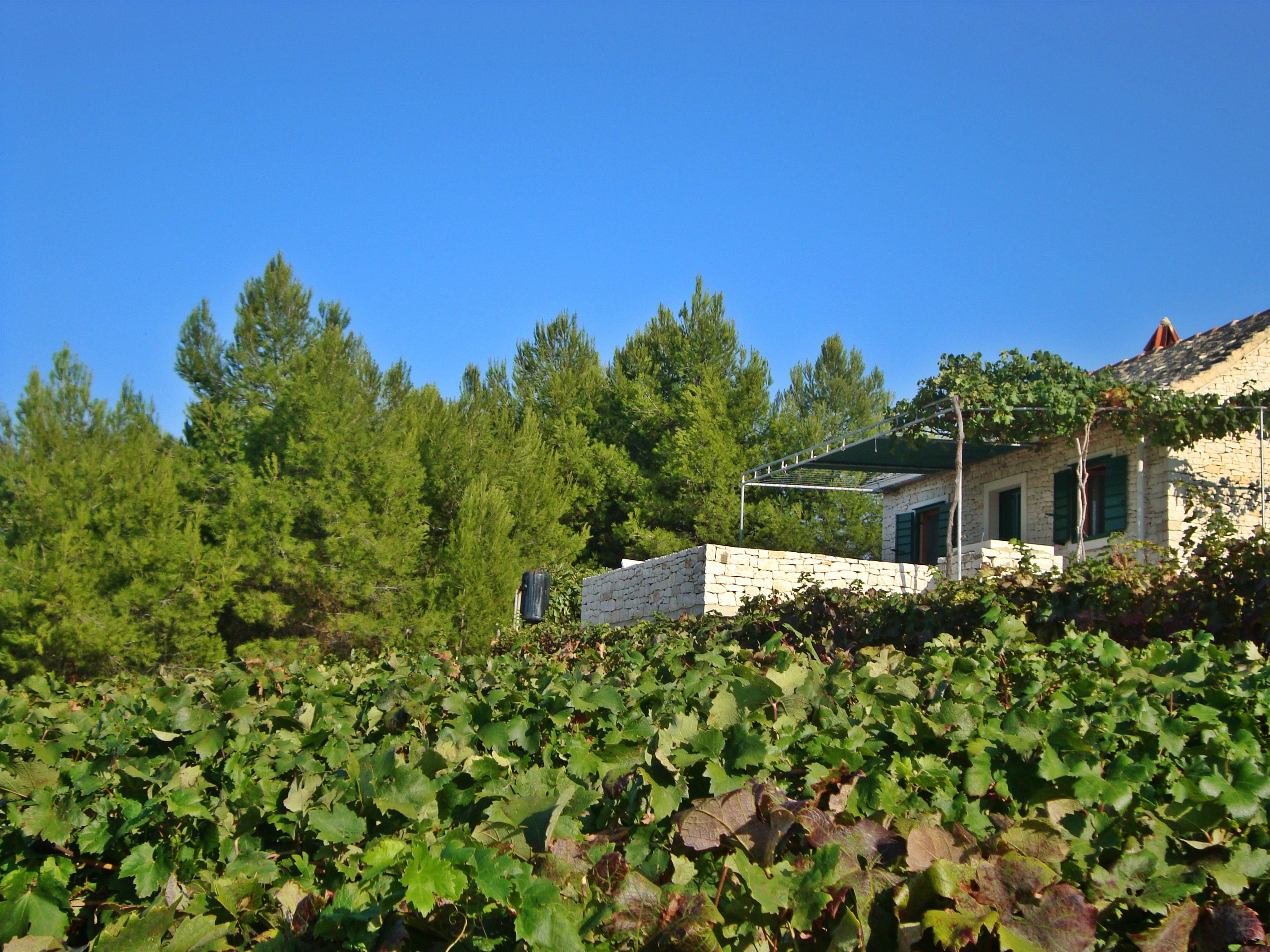 House Krunoslav 33891-K1