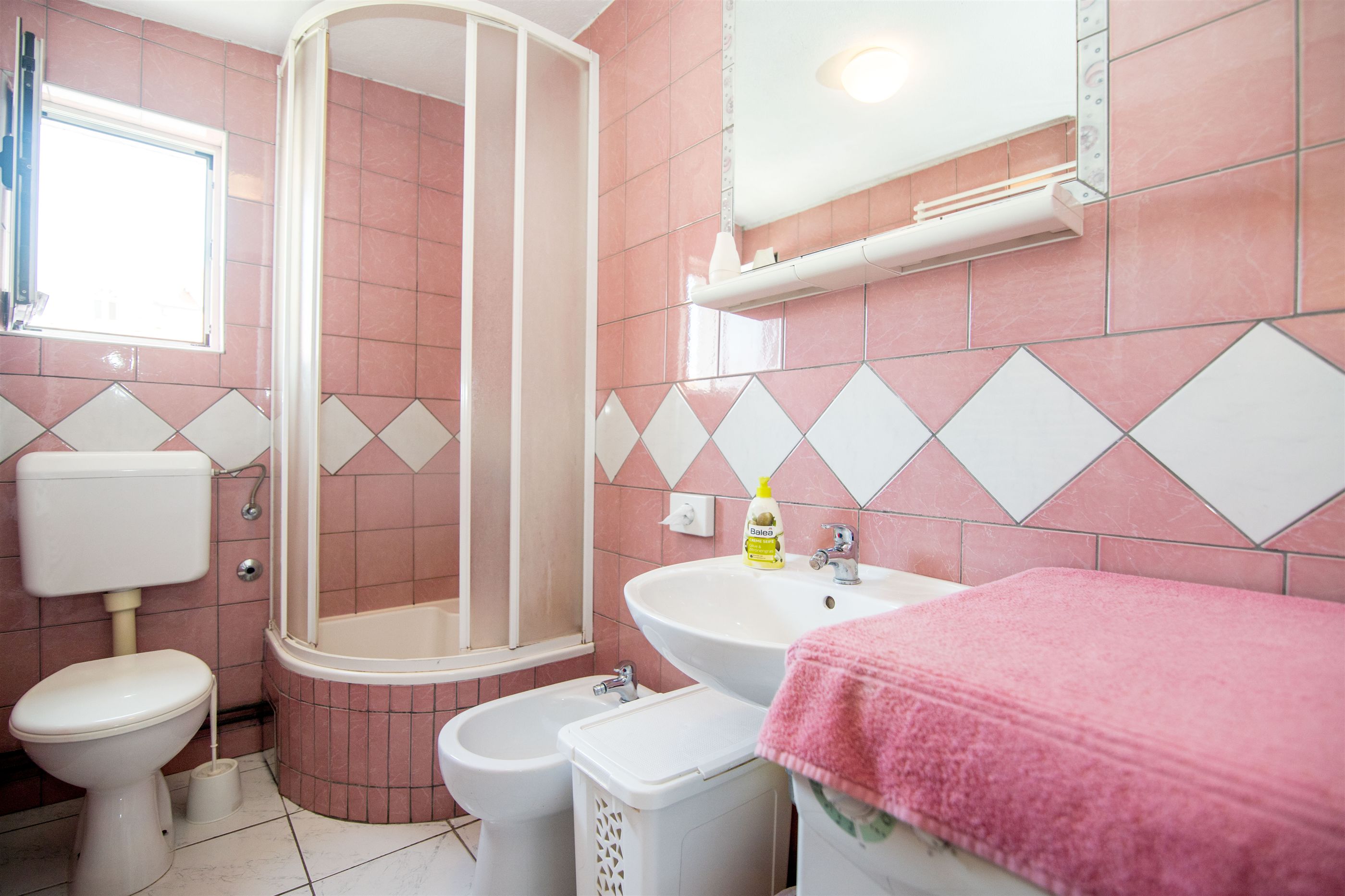 Apartment and Rooms Ruža 35621-A1