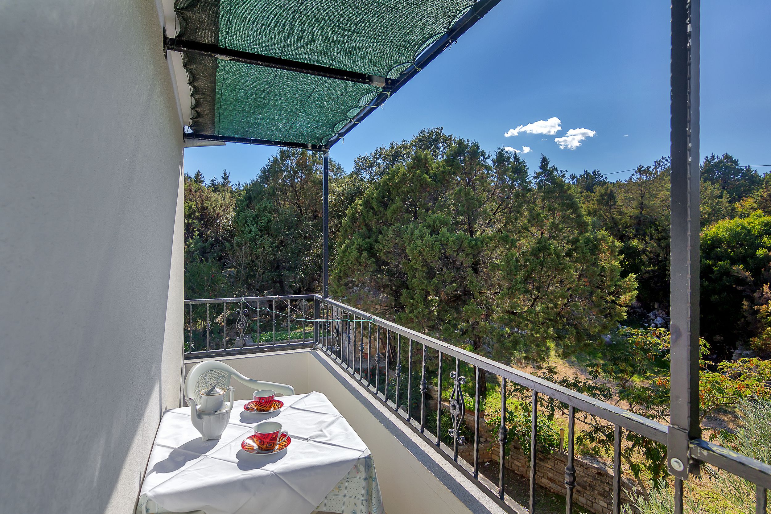 Apartment and Rooms Nikola 38301-A12