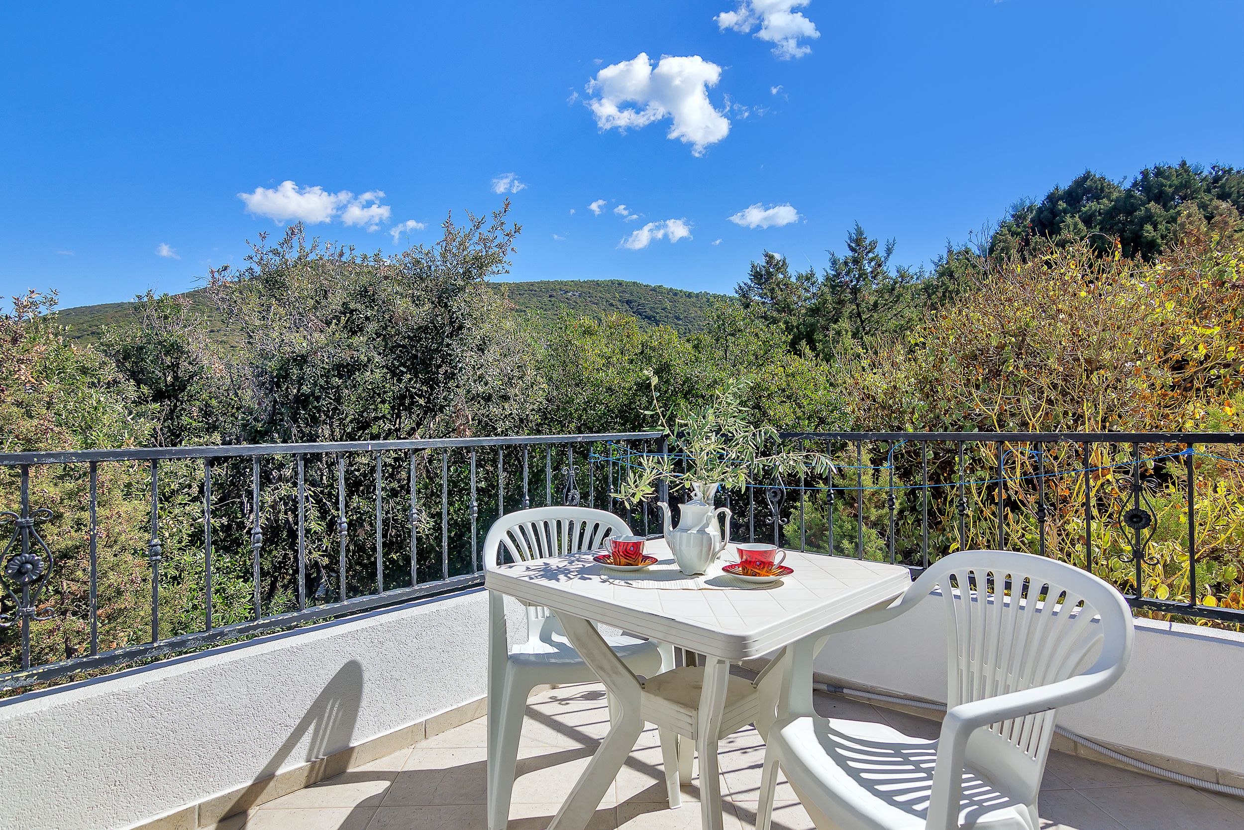 Apartment and Rooms Nikola 38301-A14