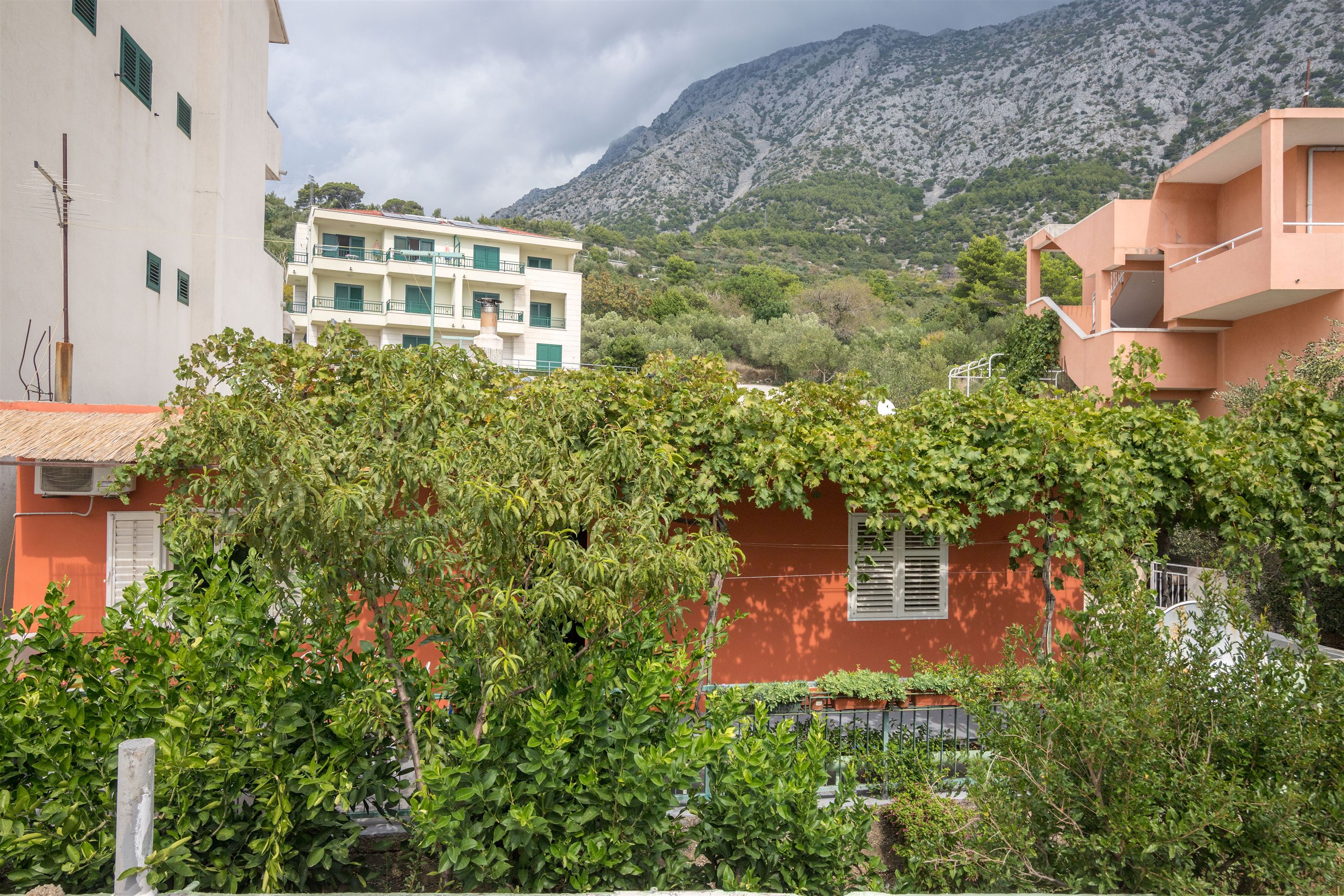 Apartments Ante 43231-A2