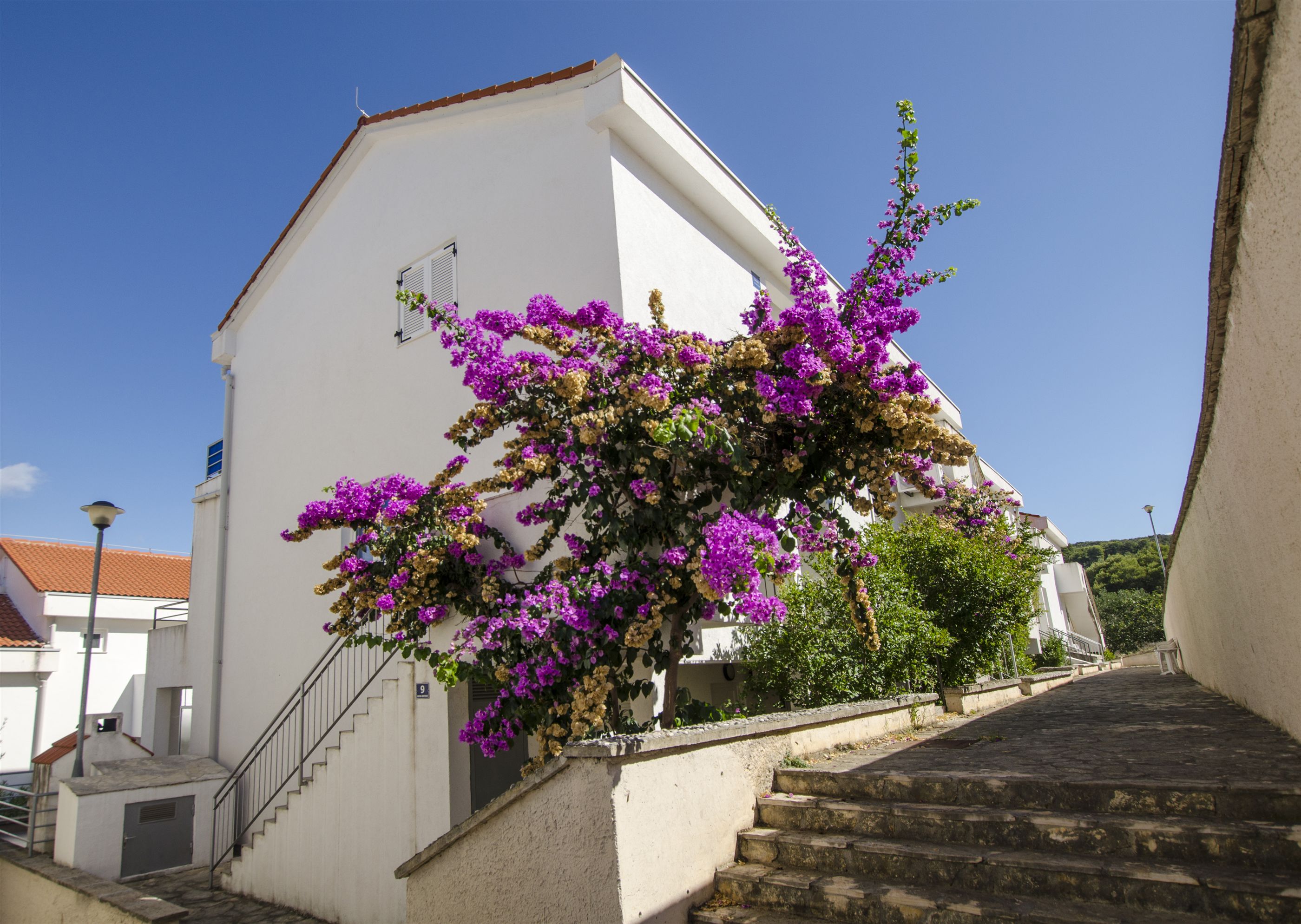 Apartment Tatjana 47411-A1