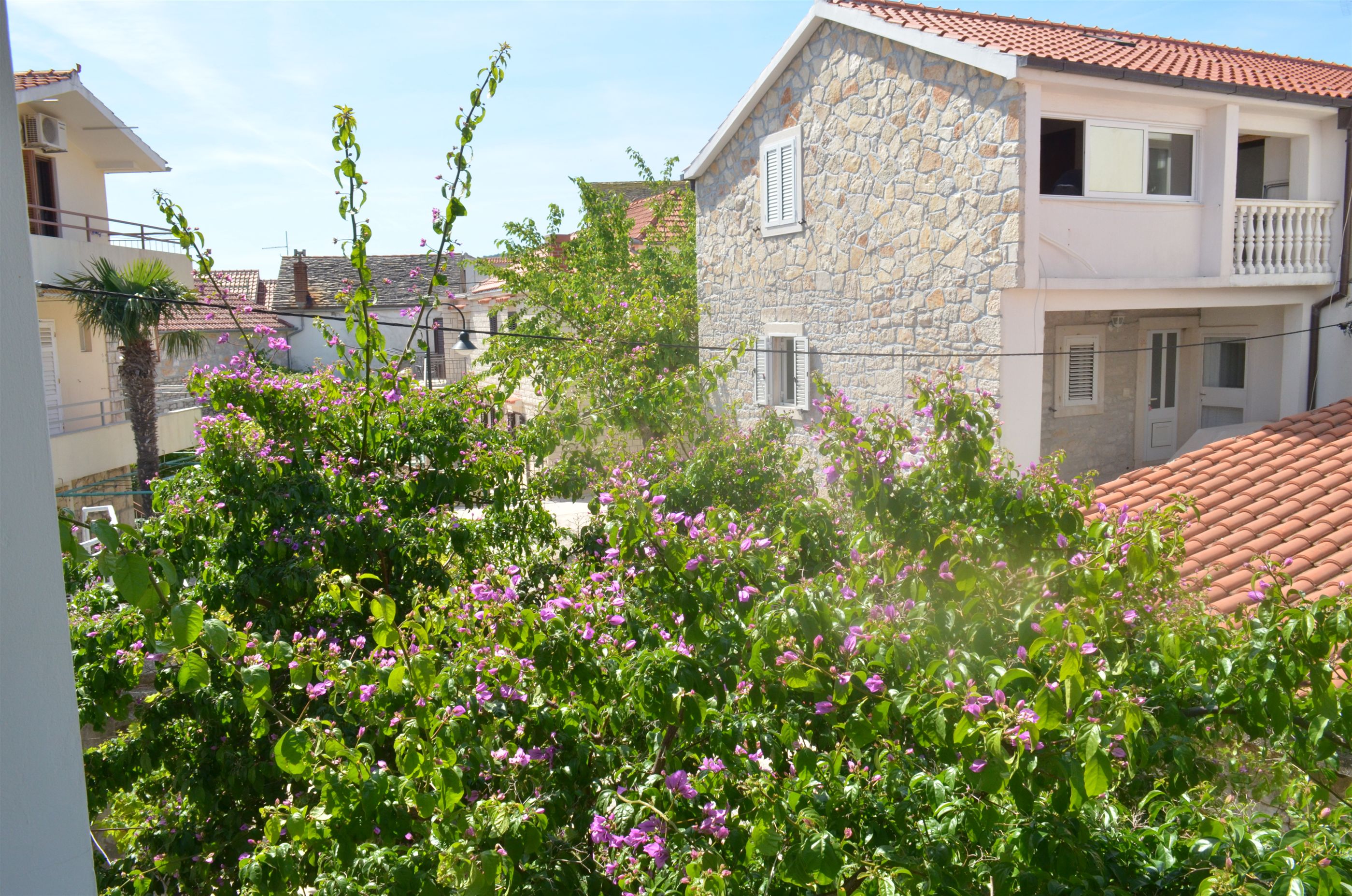 Apartments and Rooms Jakov 40391-A1