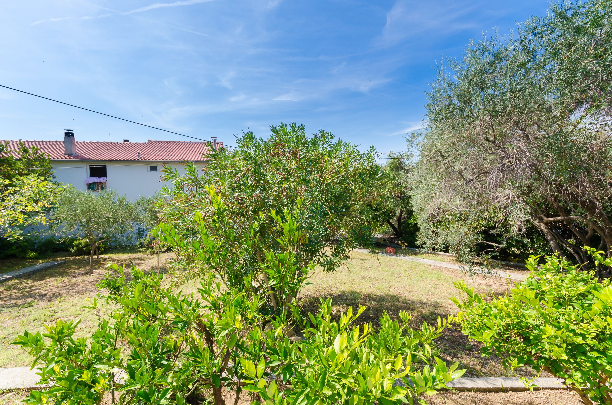 Apartment Ivica 85921-A1