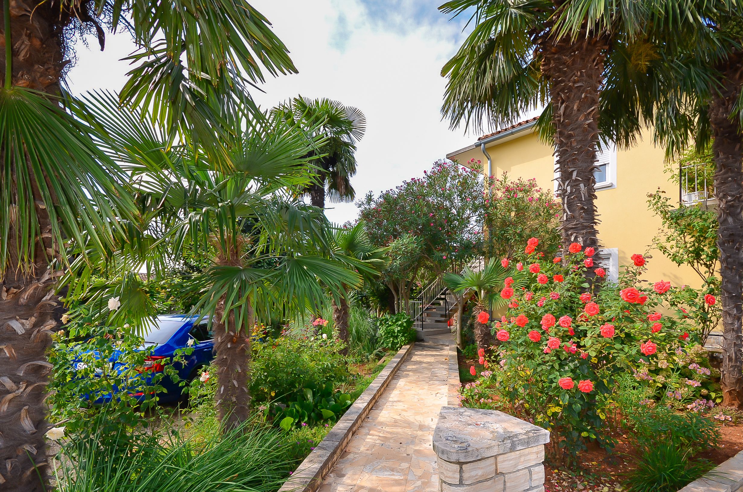 Photo of Apartments Marija