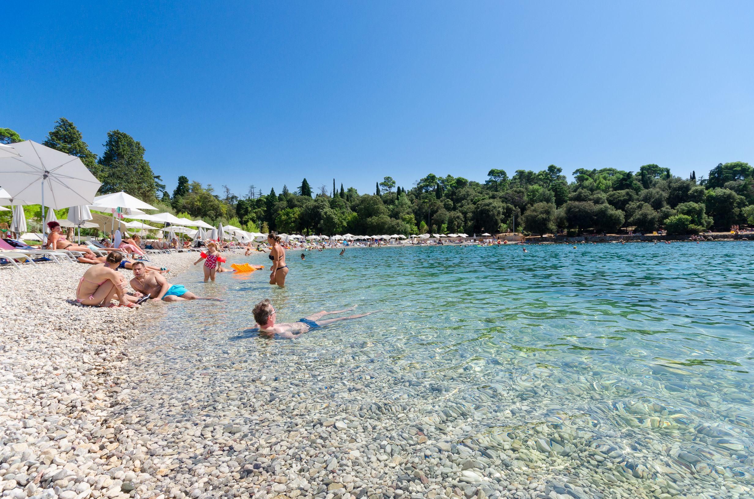 Photo of Apartments Branko