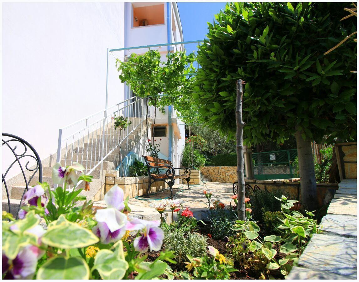 Apartments Anita i Visnja 46491-A1