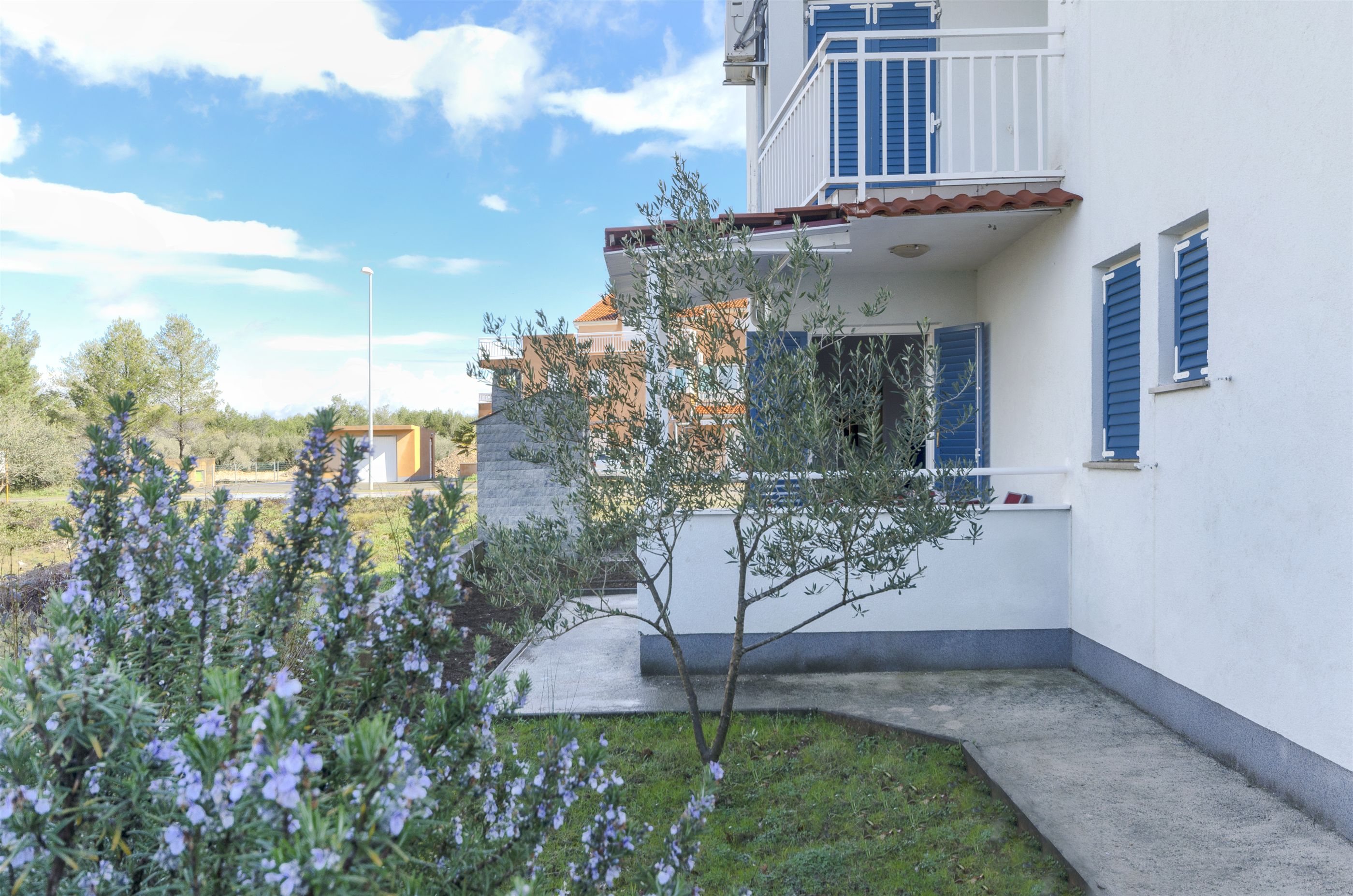 Apartment Branka 48011-A1
