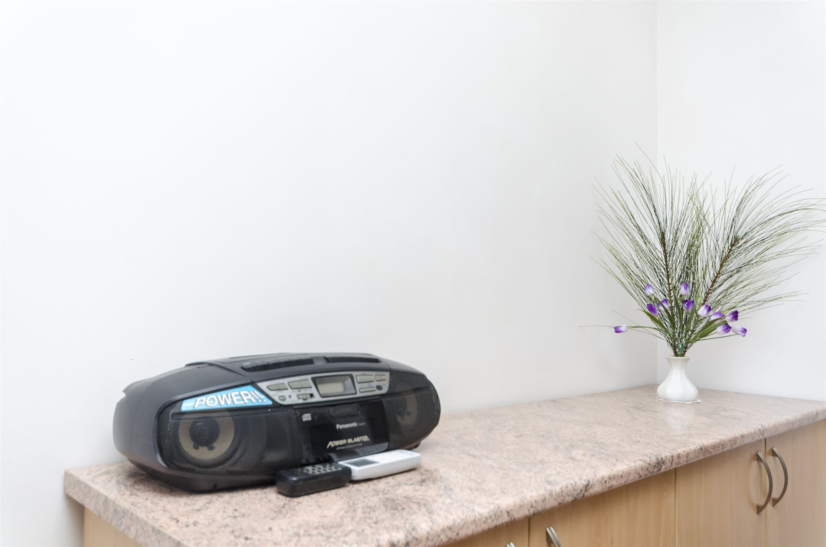 Apartment Branka 48011-A1