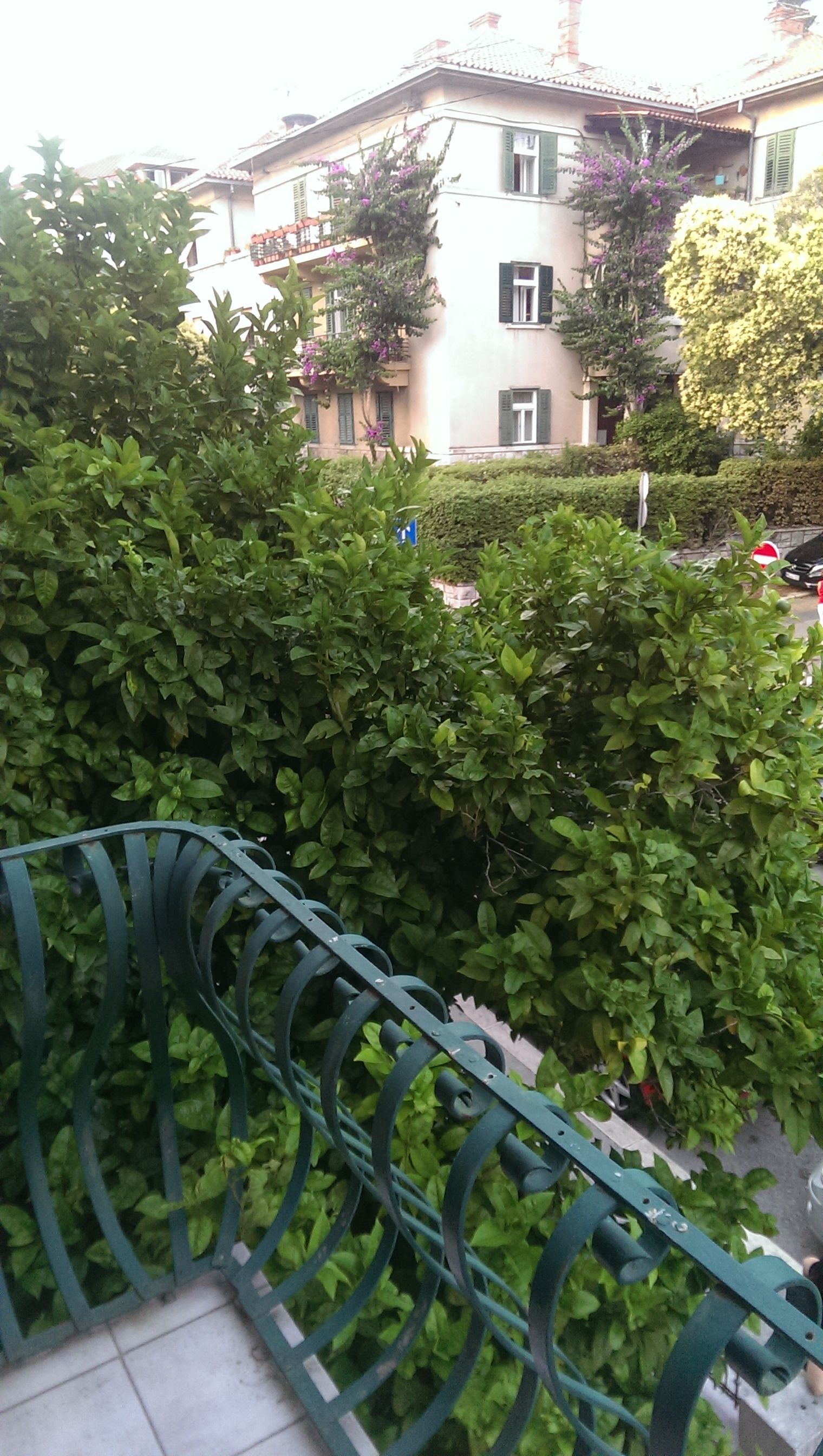 Photo of Apartment Marijo