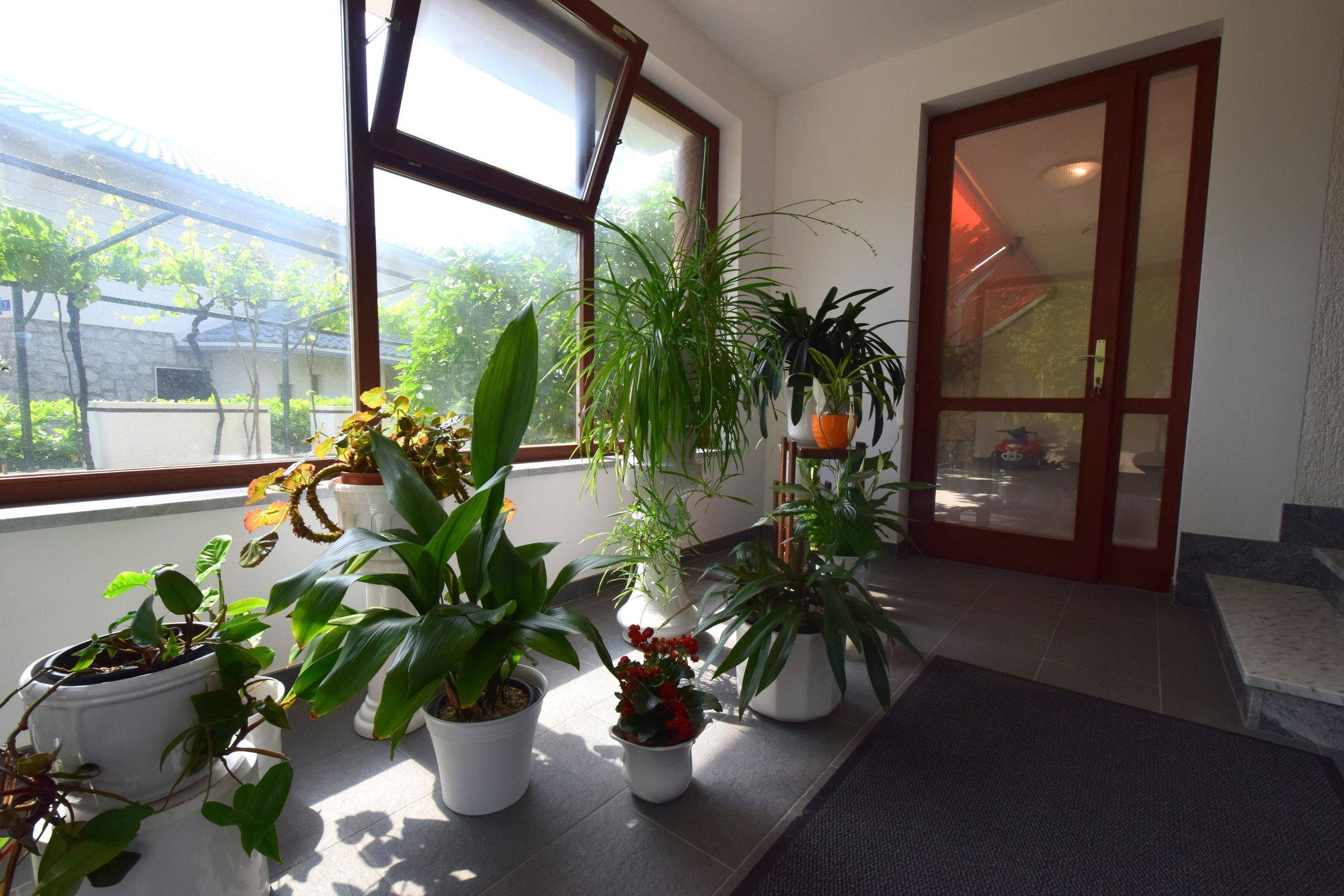 Apartment Mirjana 63311-A1