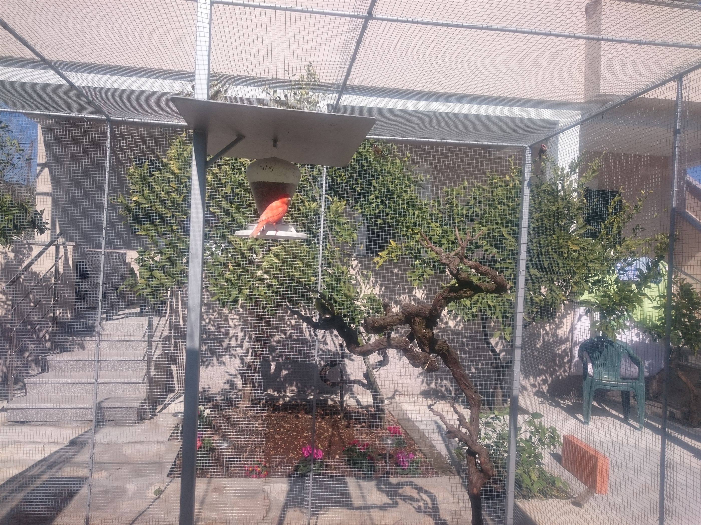 Apartment Canaria 19051-A1