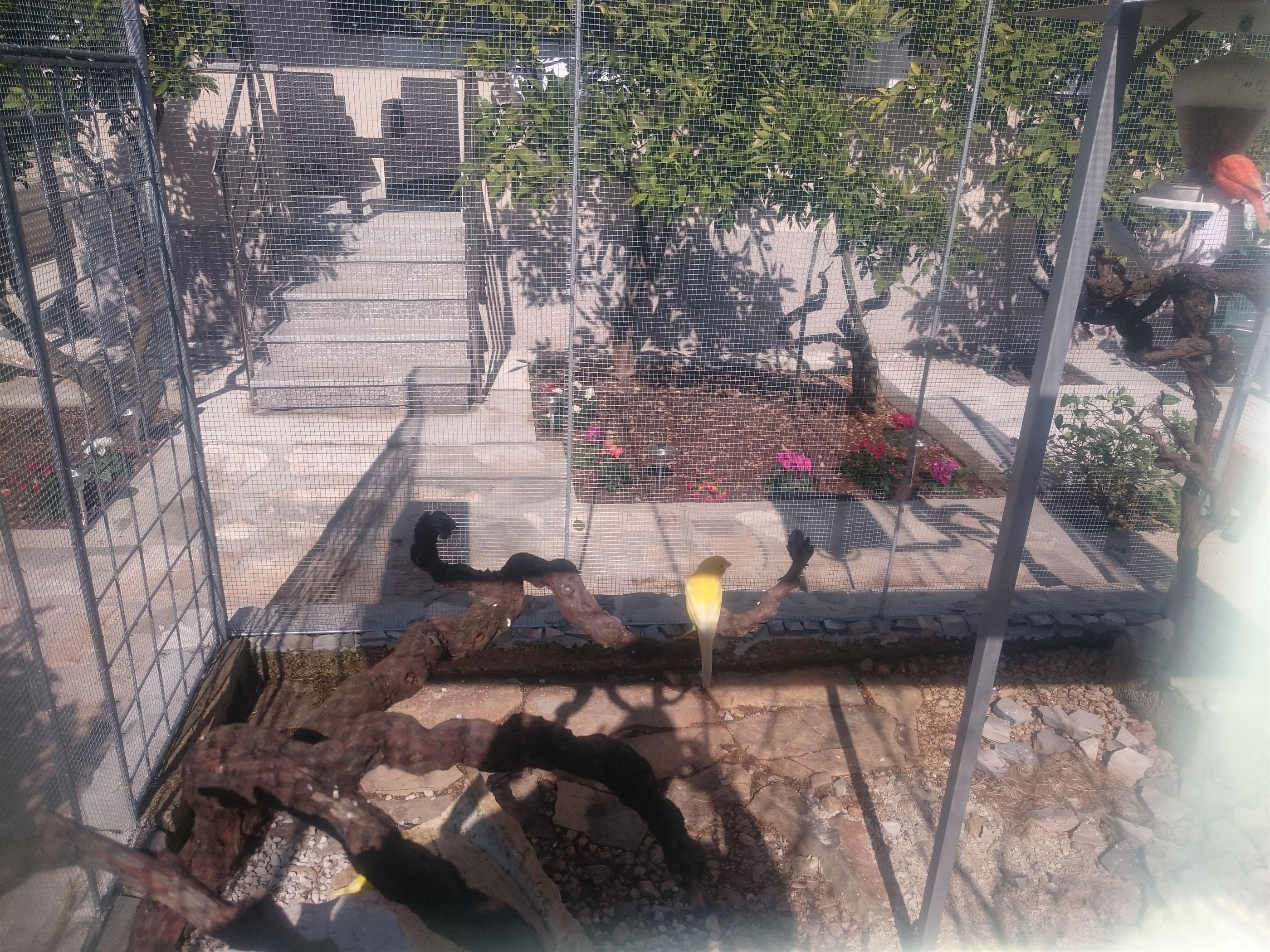 Apartment Canaria 19051-A1