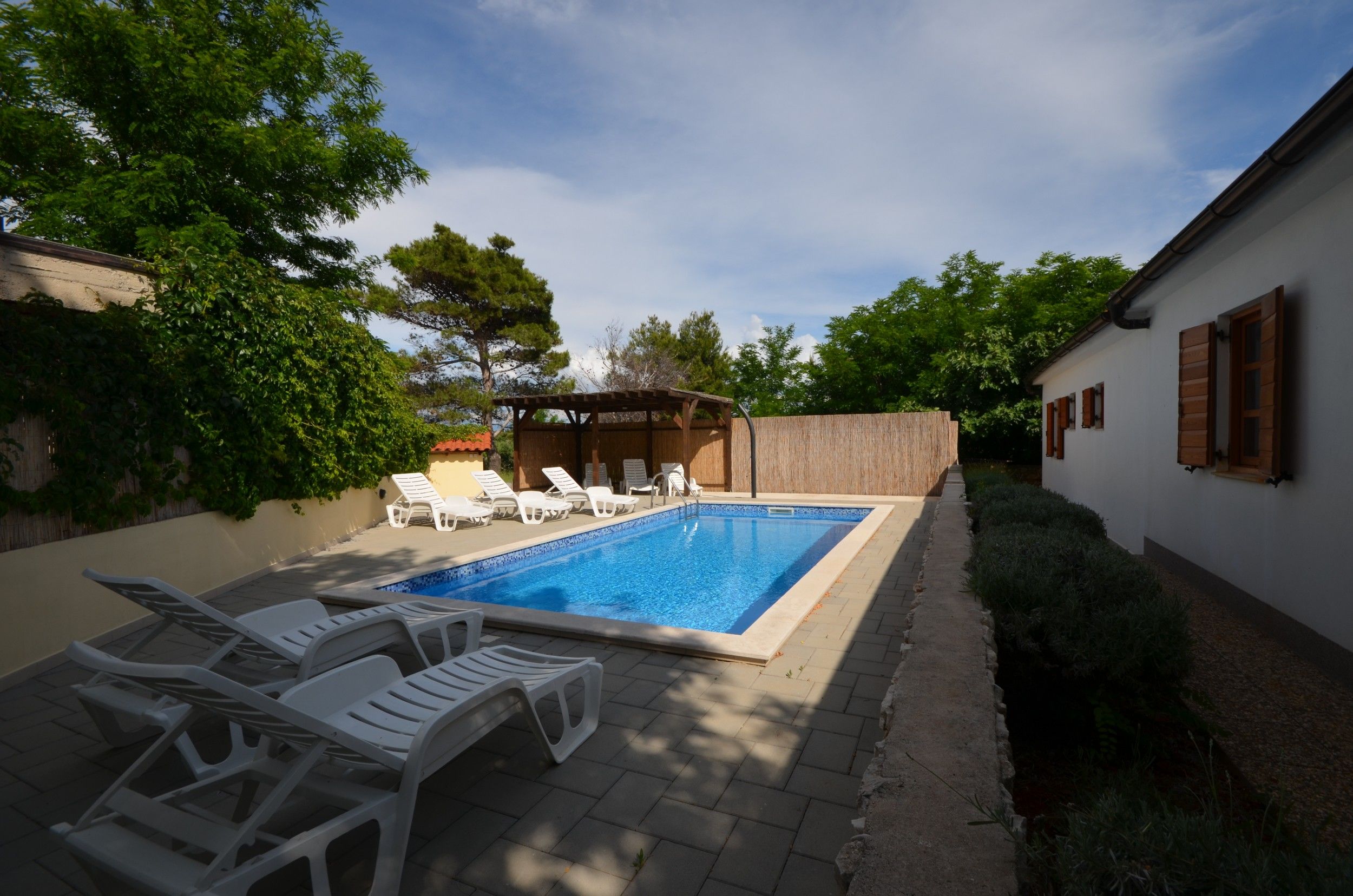 Apartments Radovic Biljana 17499-A1