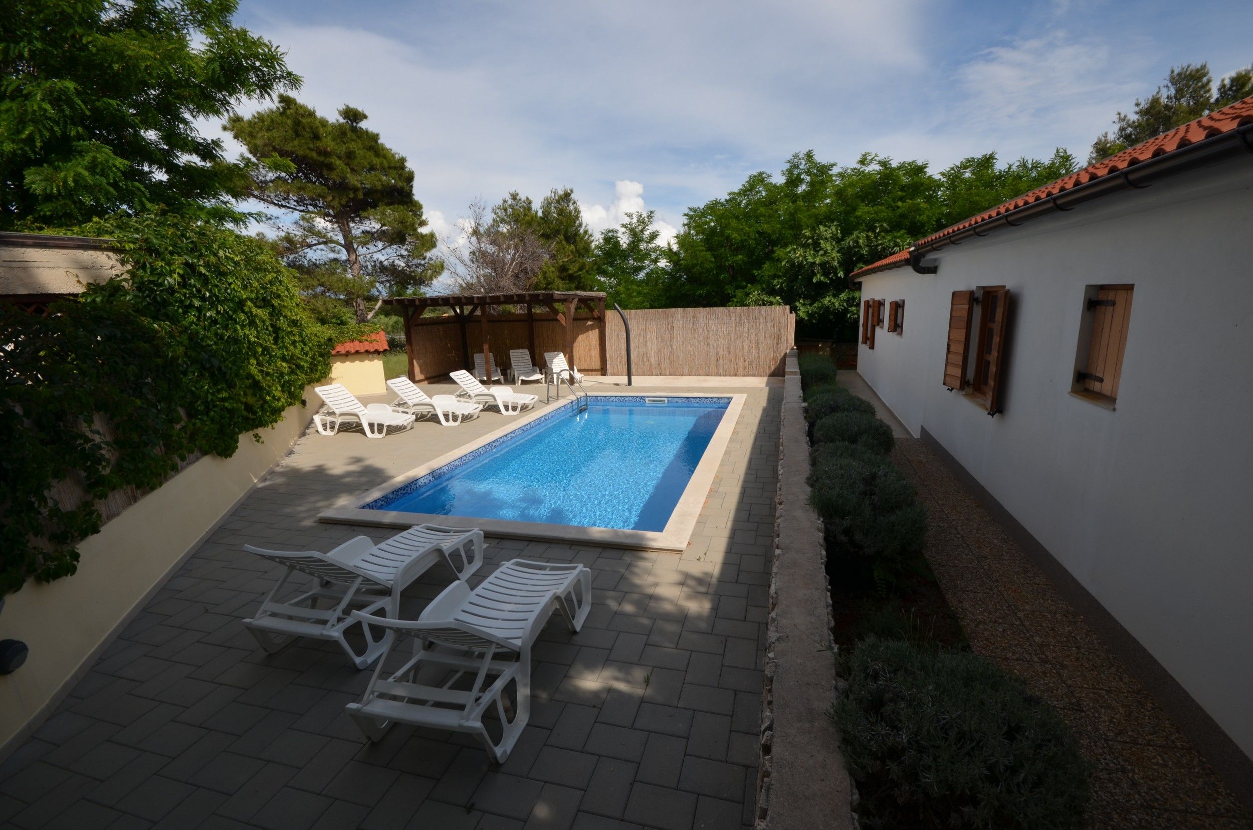 Apartments Radovic Biljana 17499-A1