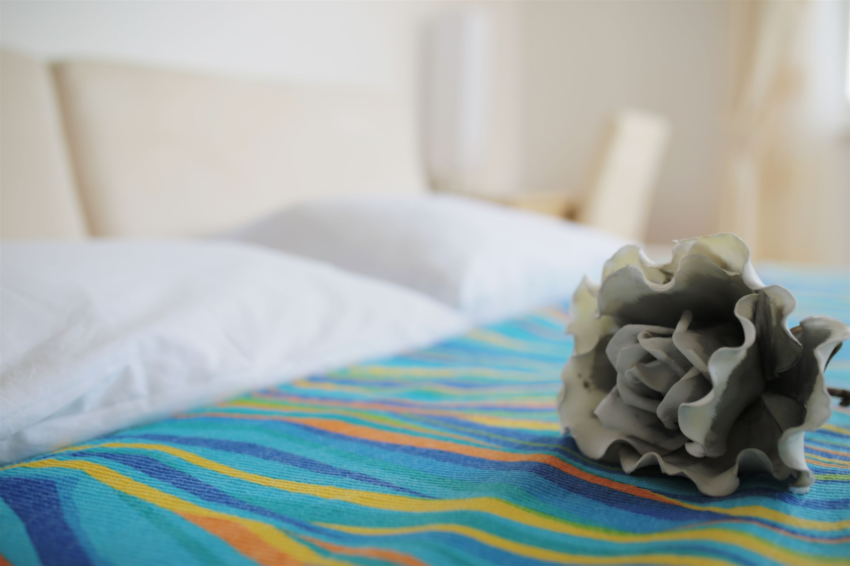Apartments TAMARIX 12361-A2