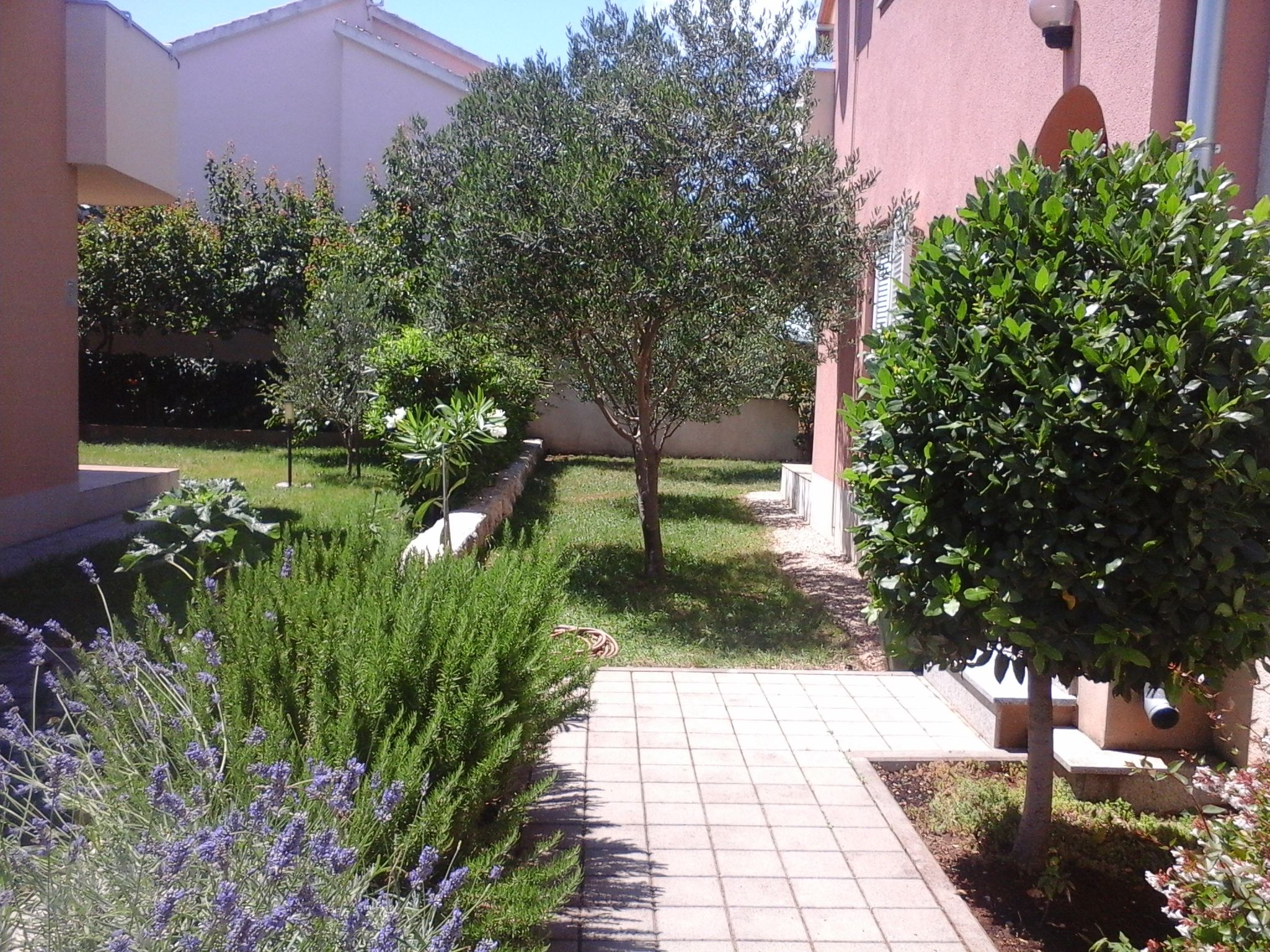 Apartments Danica 20461-A1