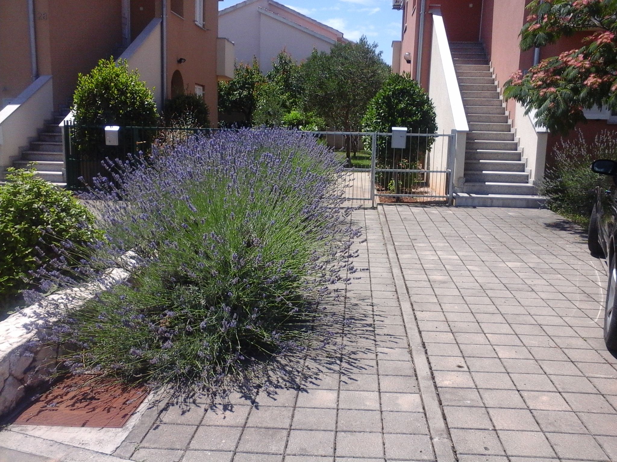 Apartments Danica 20461-A1