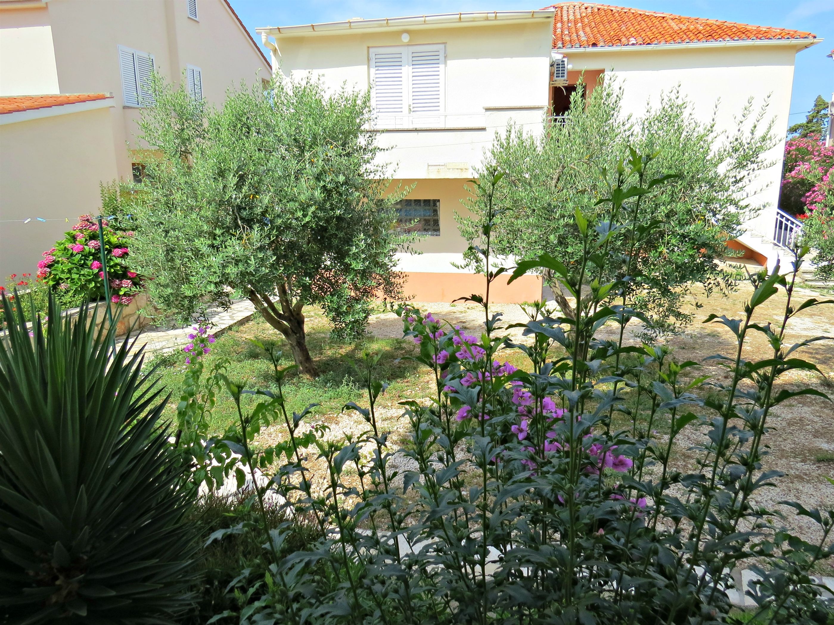 Apartments EDO 20881-A1