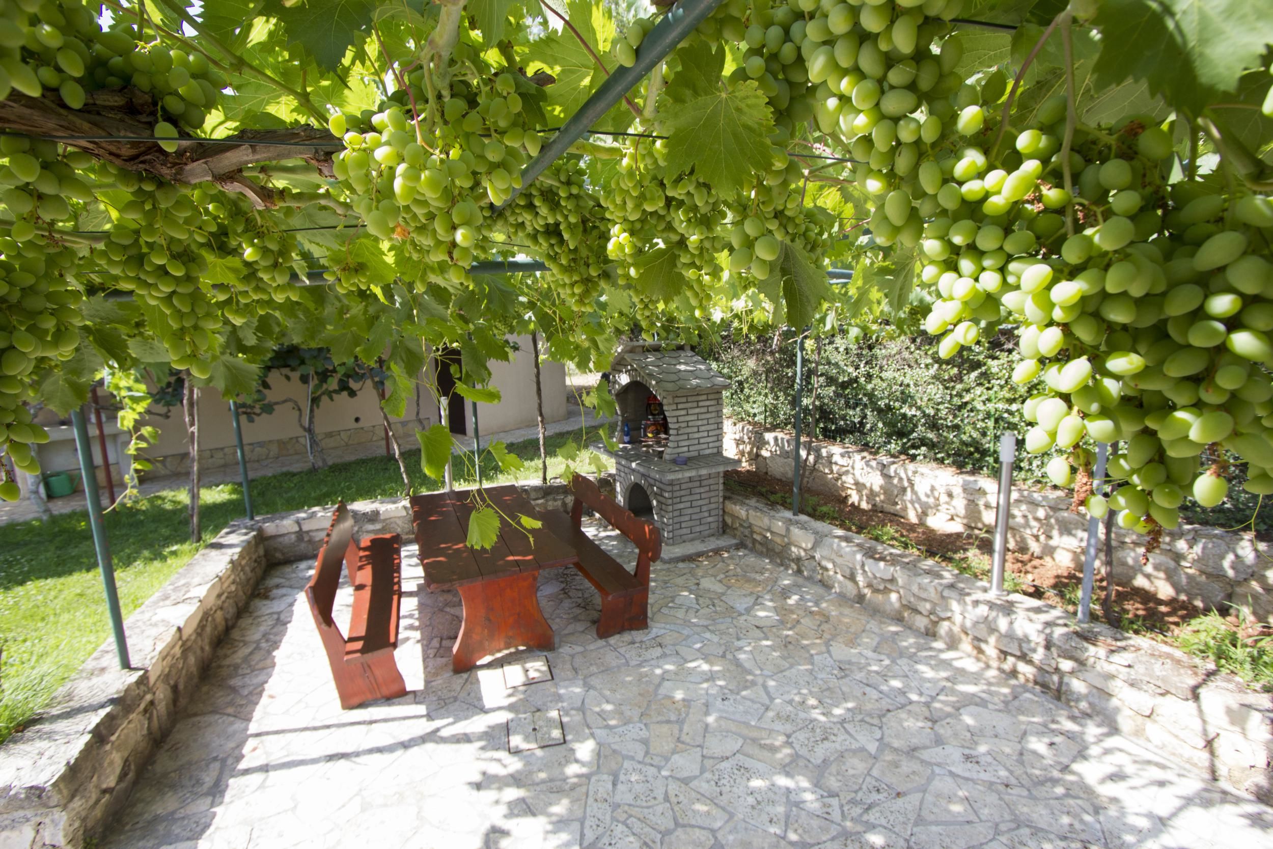 Photo of House Klaudio