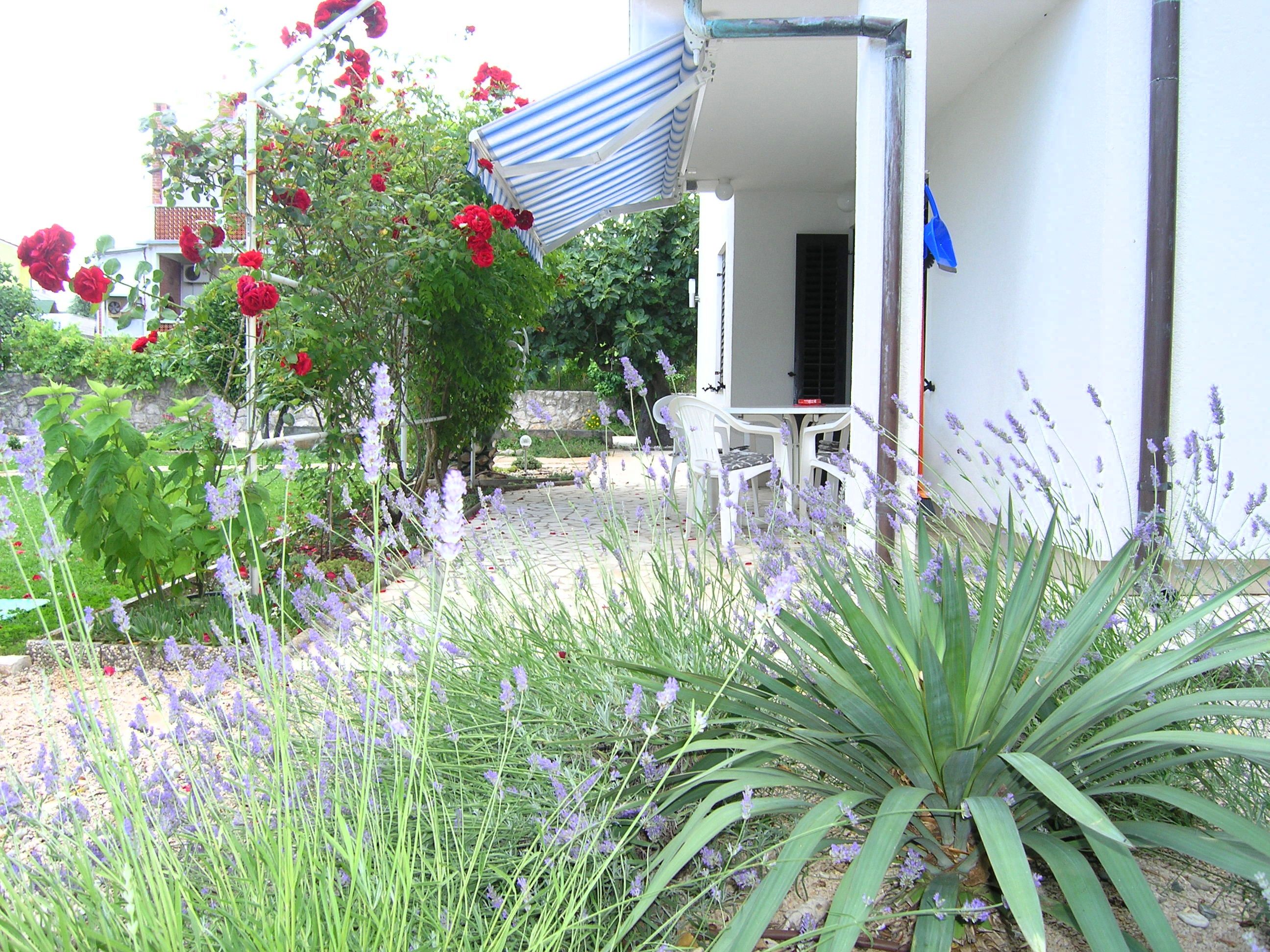Apartments Dolencic 15141-A3