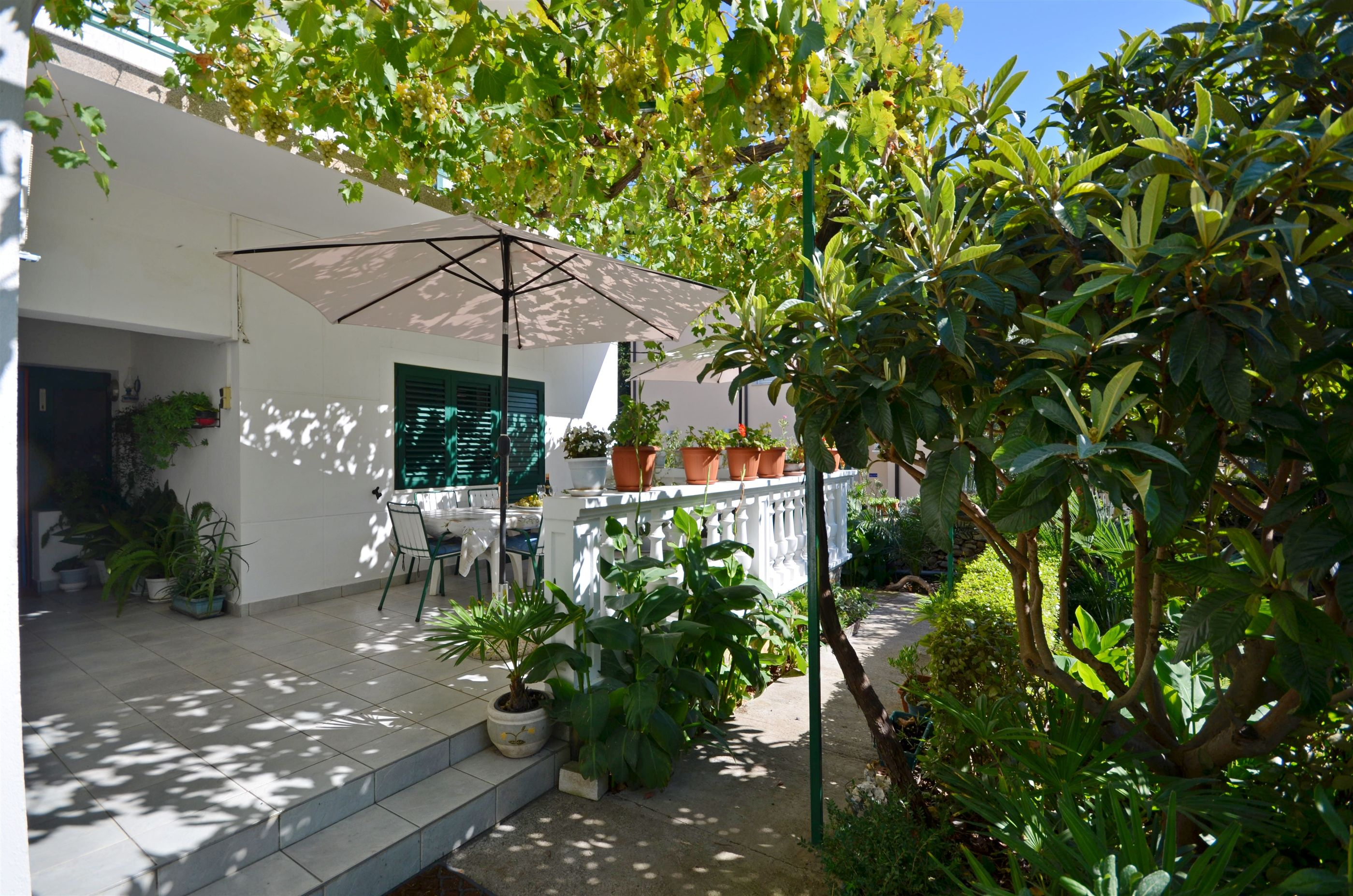 Apartments Branko 11421-A4
