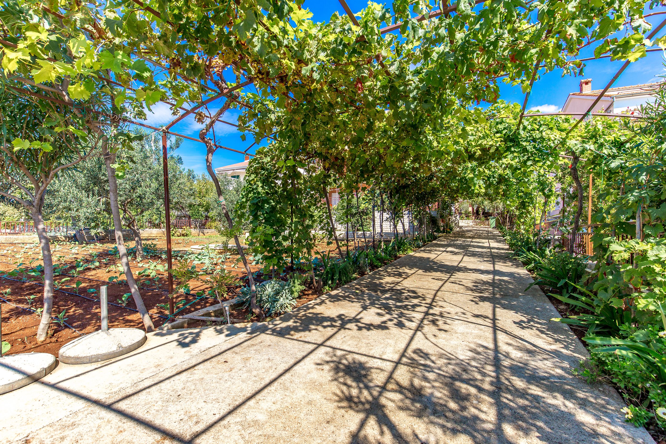 Apartments Ivan 27831-A3