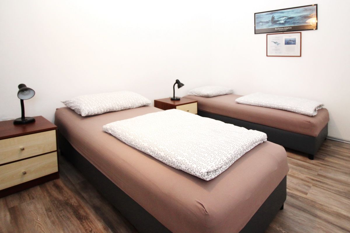Apartment Mihaela Dragoslavić 69012-A1