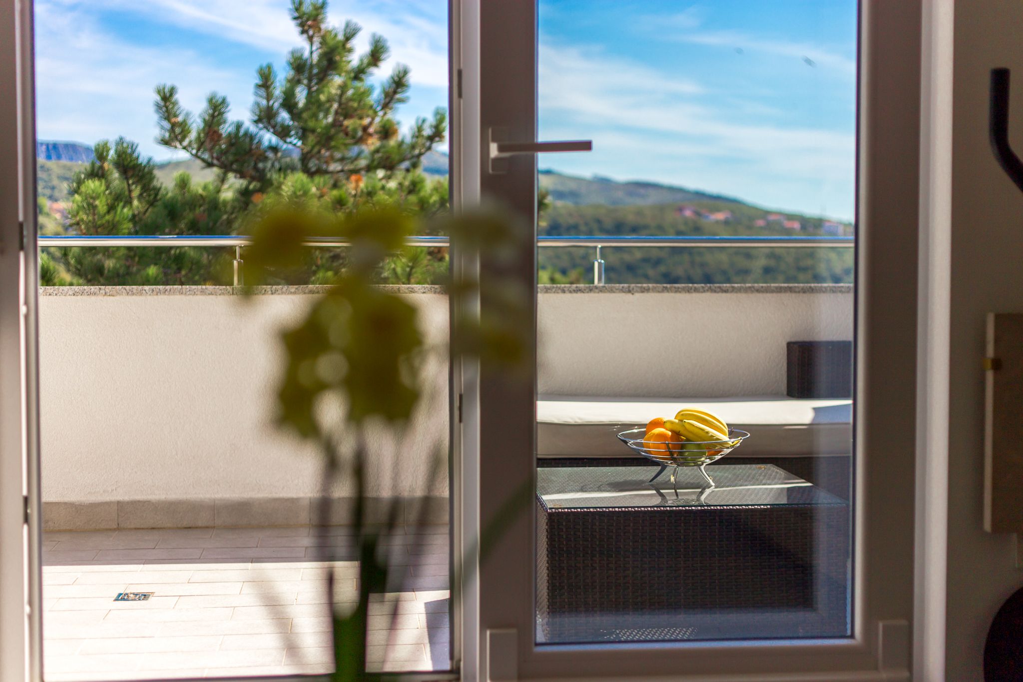 Apartment DARIO 62545-A1