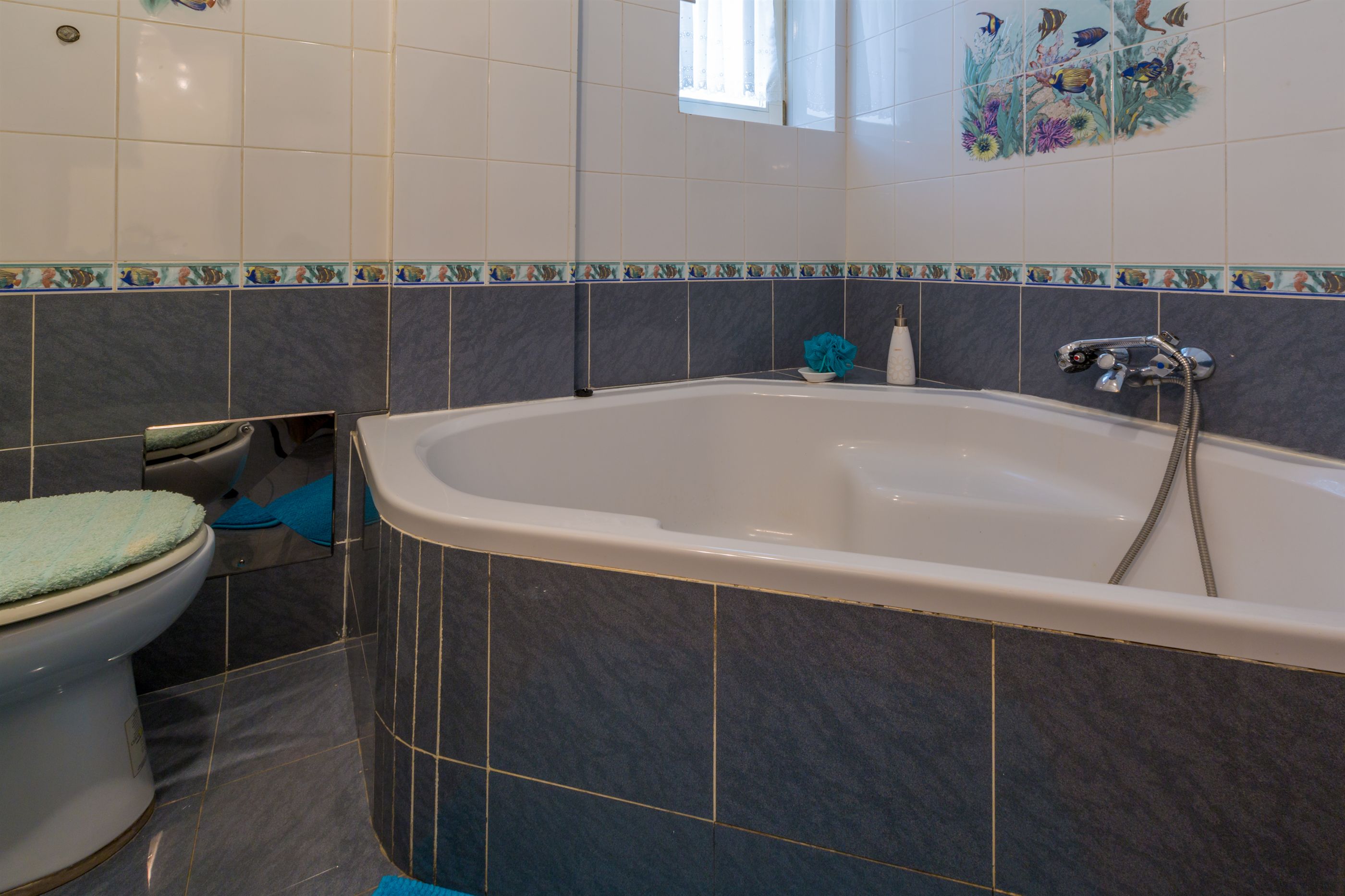Apartments Dorijan i Karlo 62549-A1