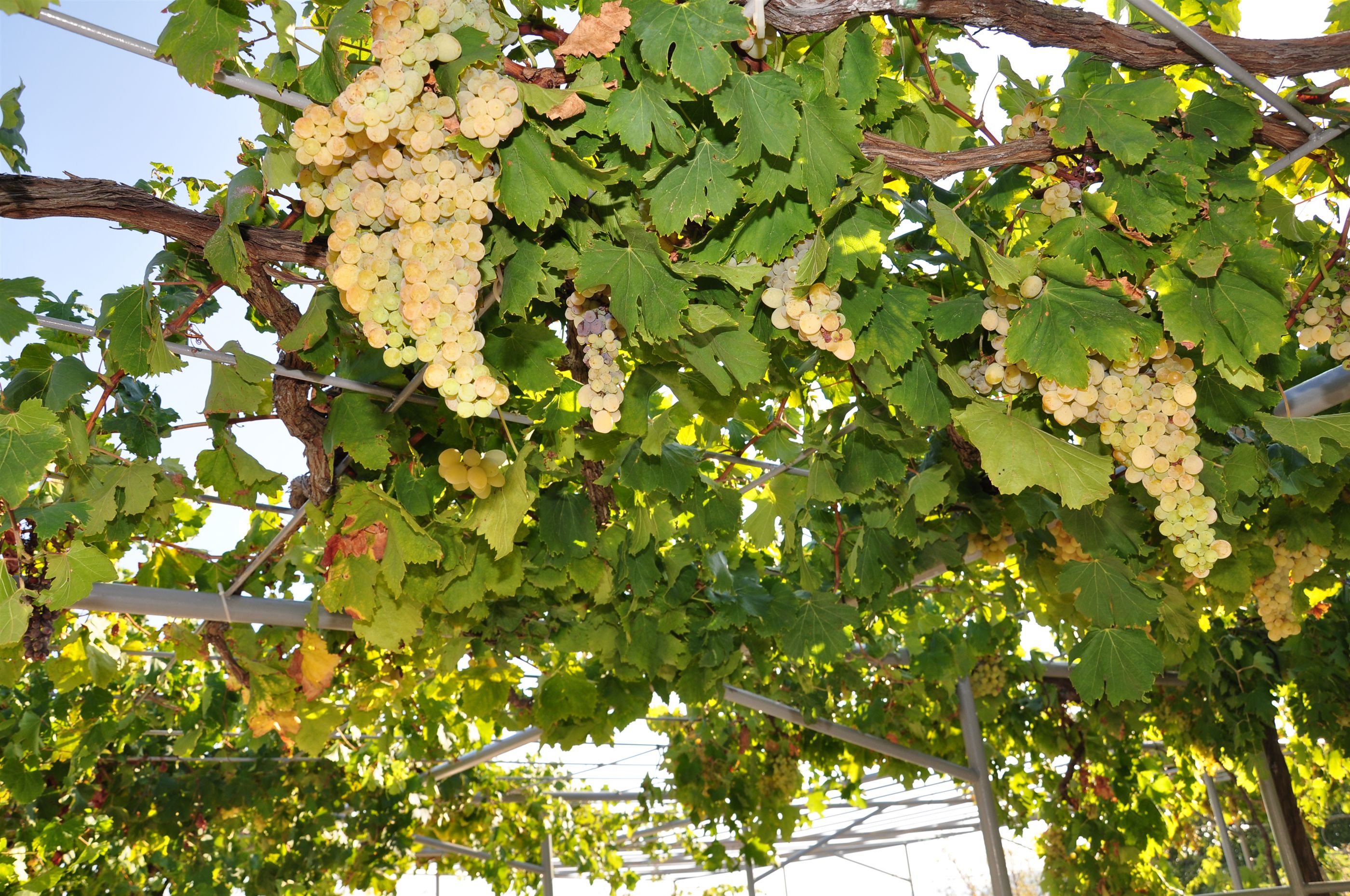 Photo of Apartment BM  ST2