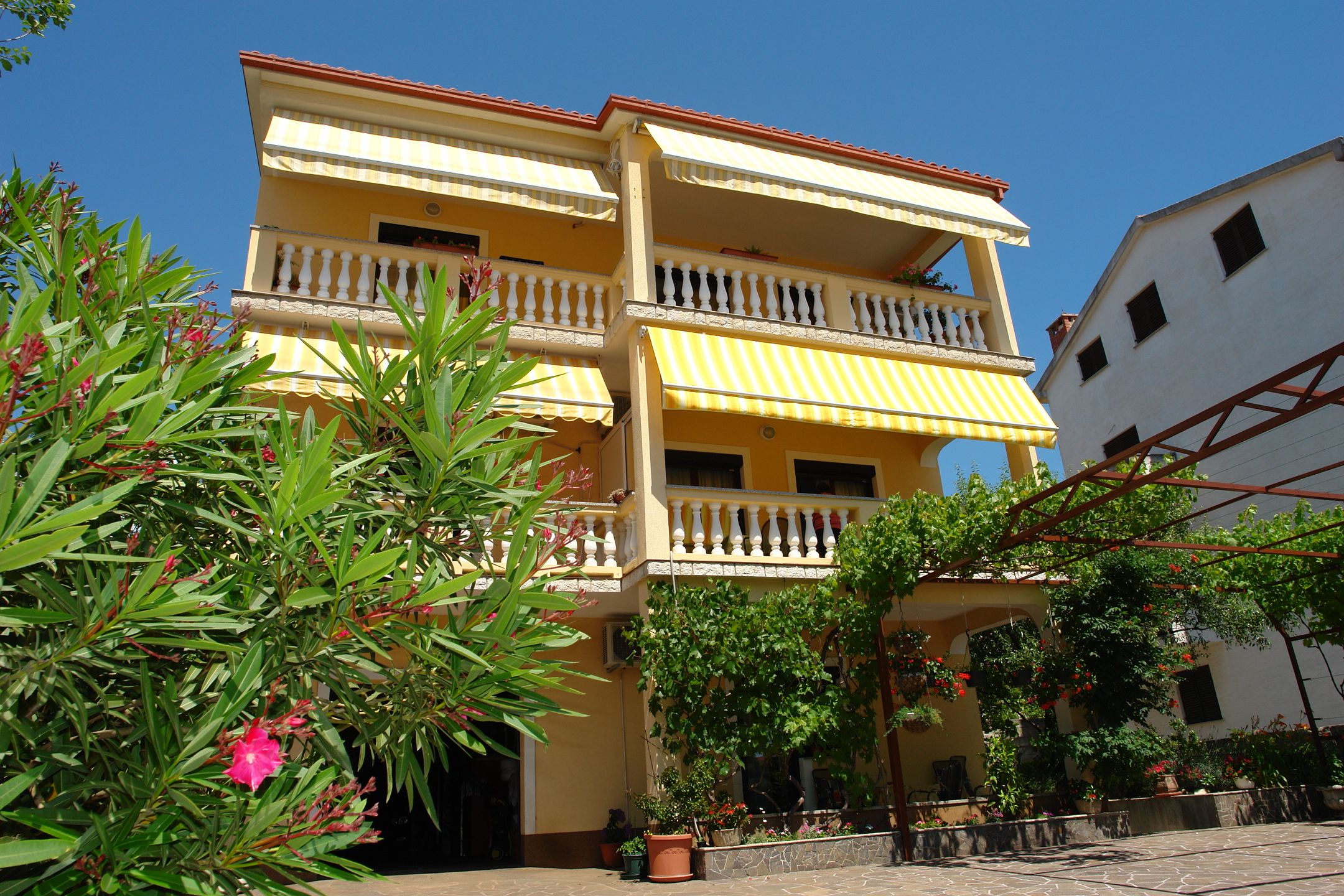 Apartment Nevelina 62617-A1