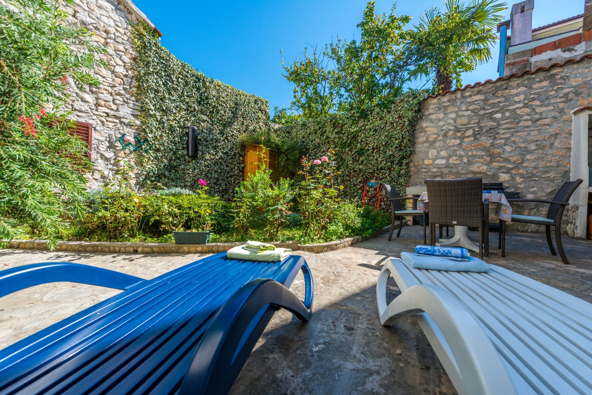 Photo of House Oleander