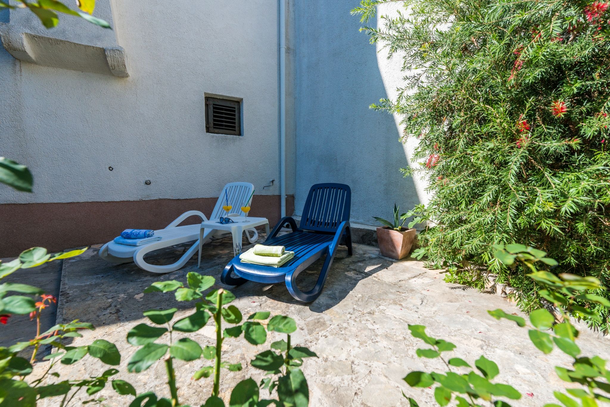 Photo of House Oleander