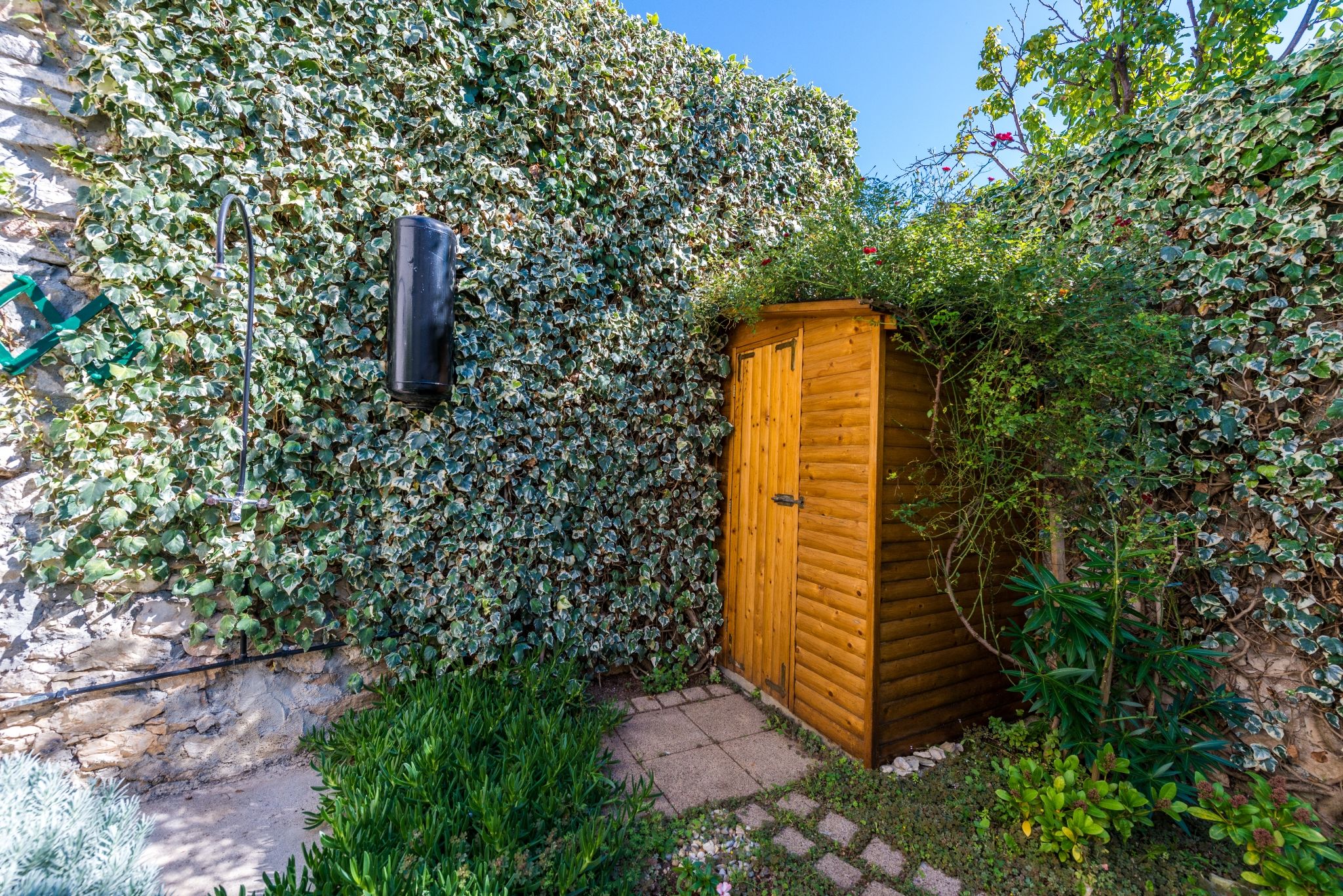 Photo of House Oleander