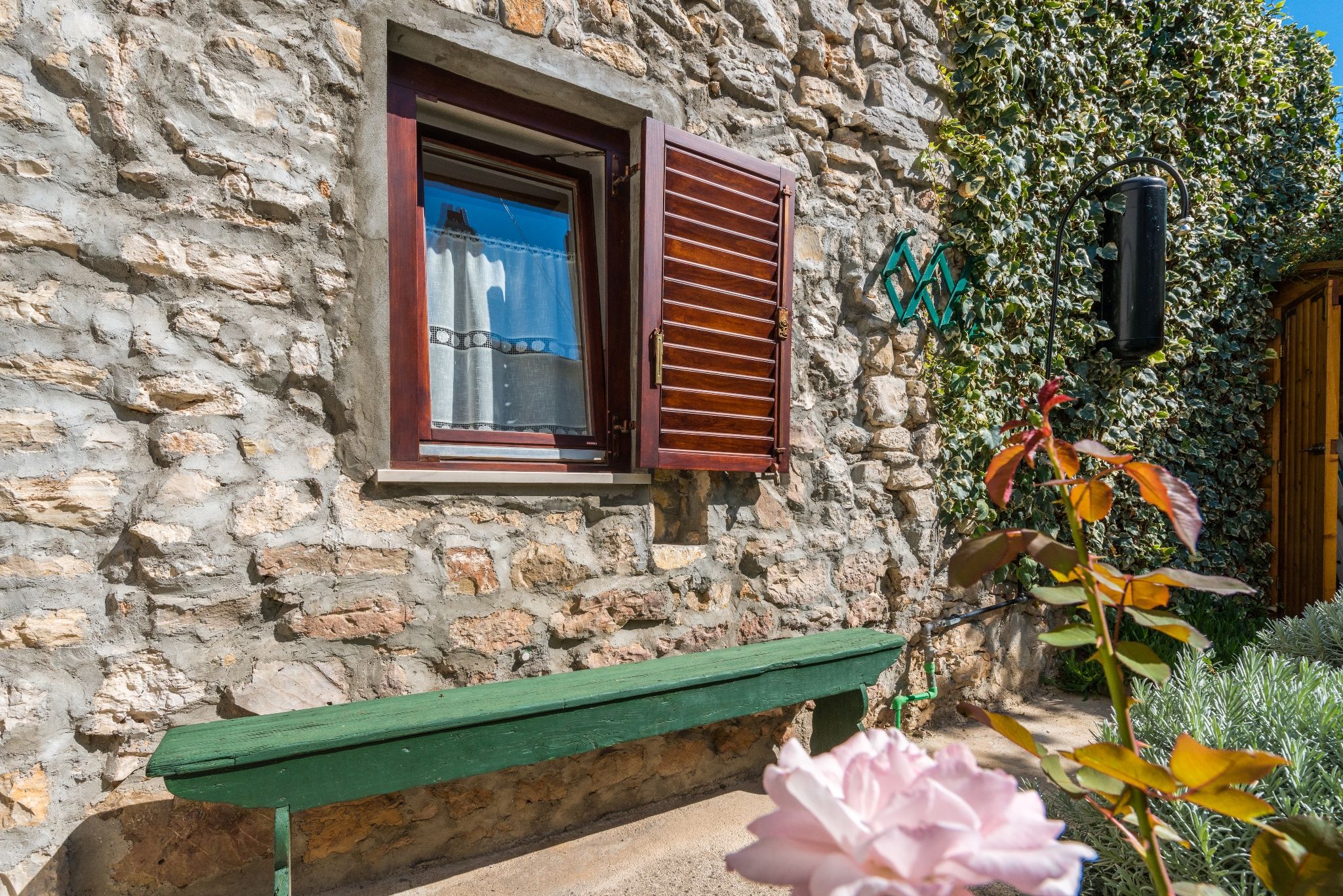 Photo of House Oleander