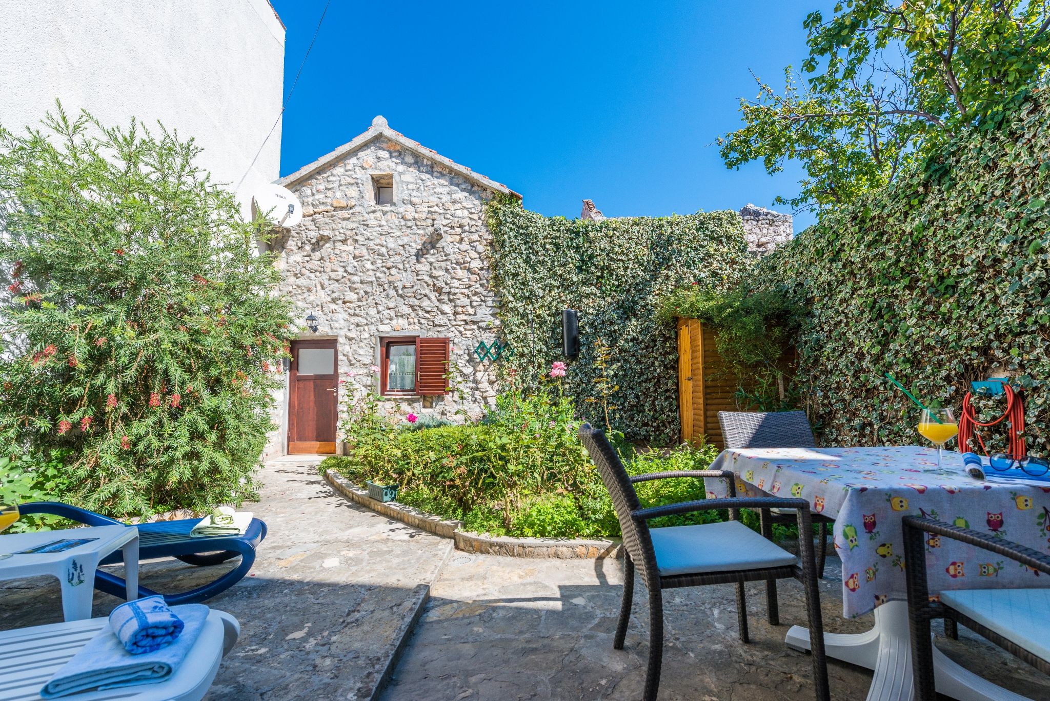 Photo of House Oleander