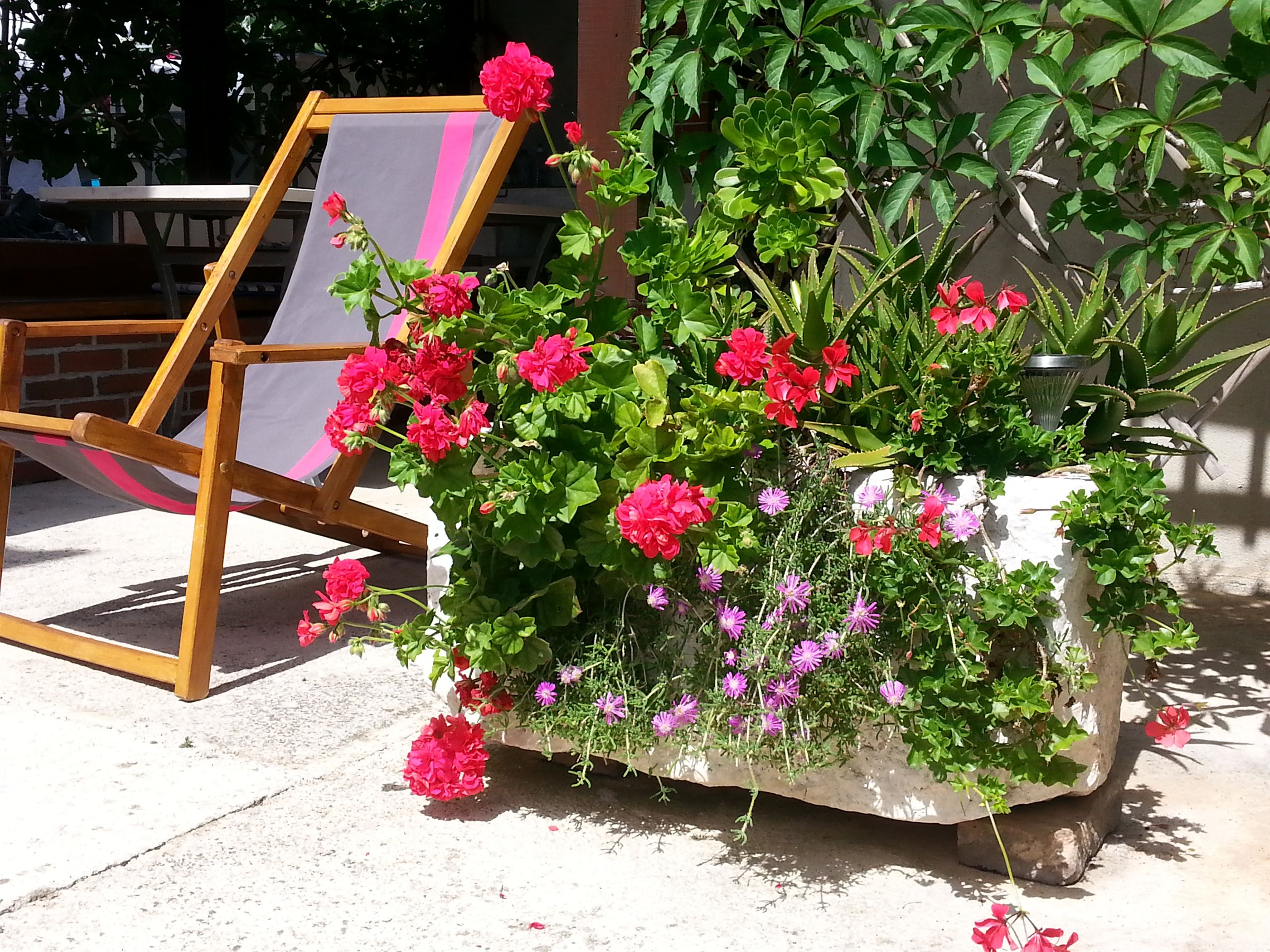 Apartments Mirjana 45561-A1