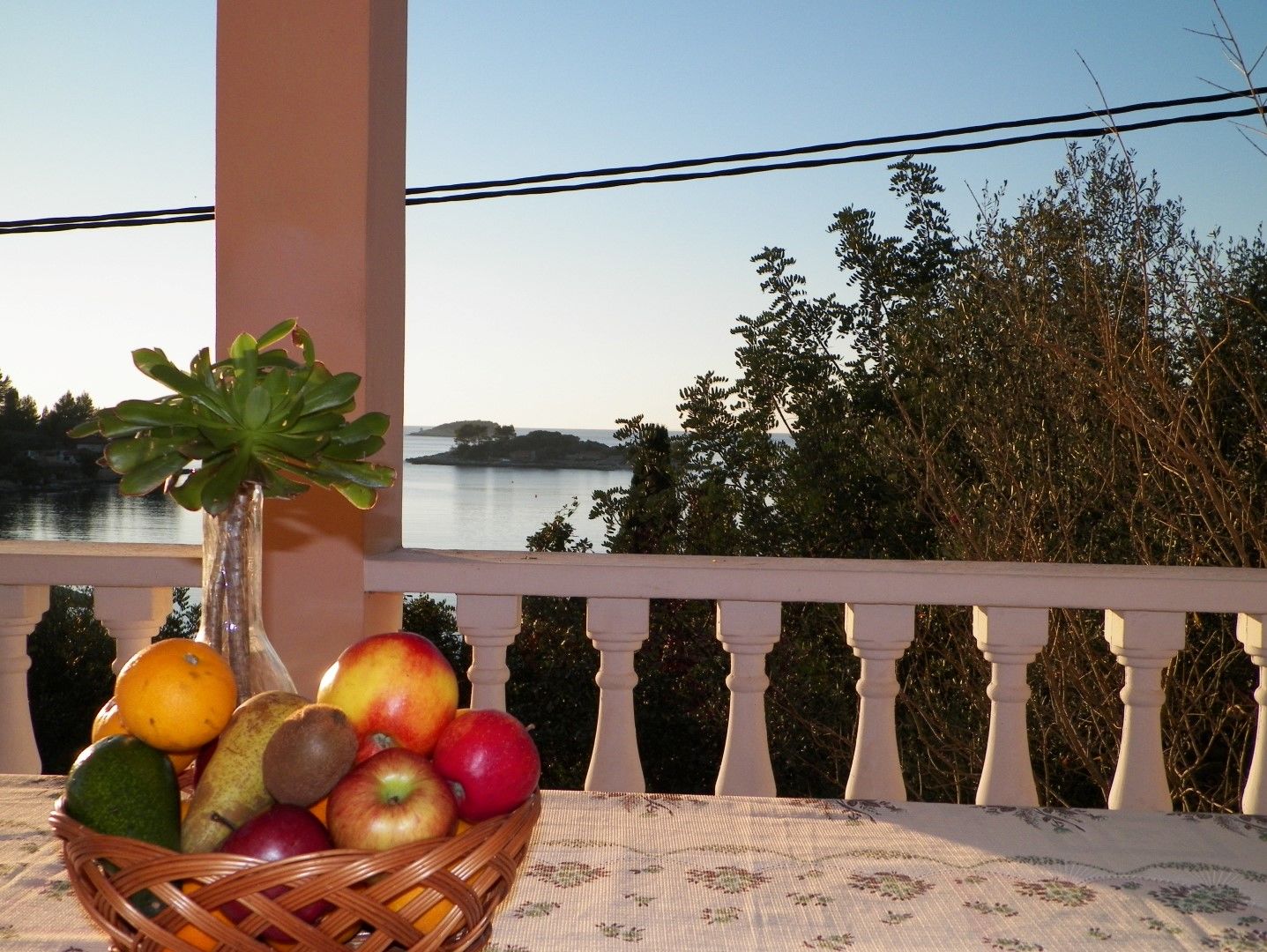 Photo of Apartments Franica