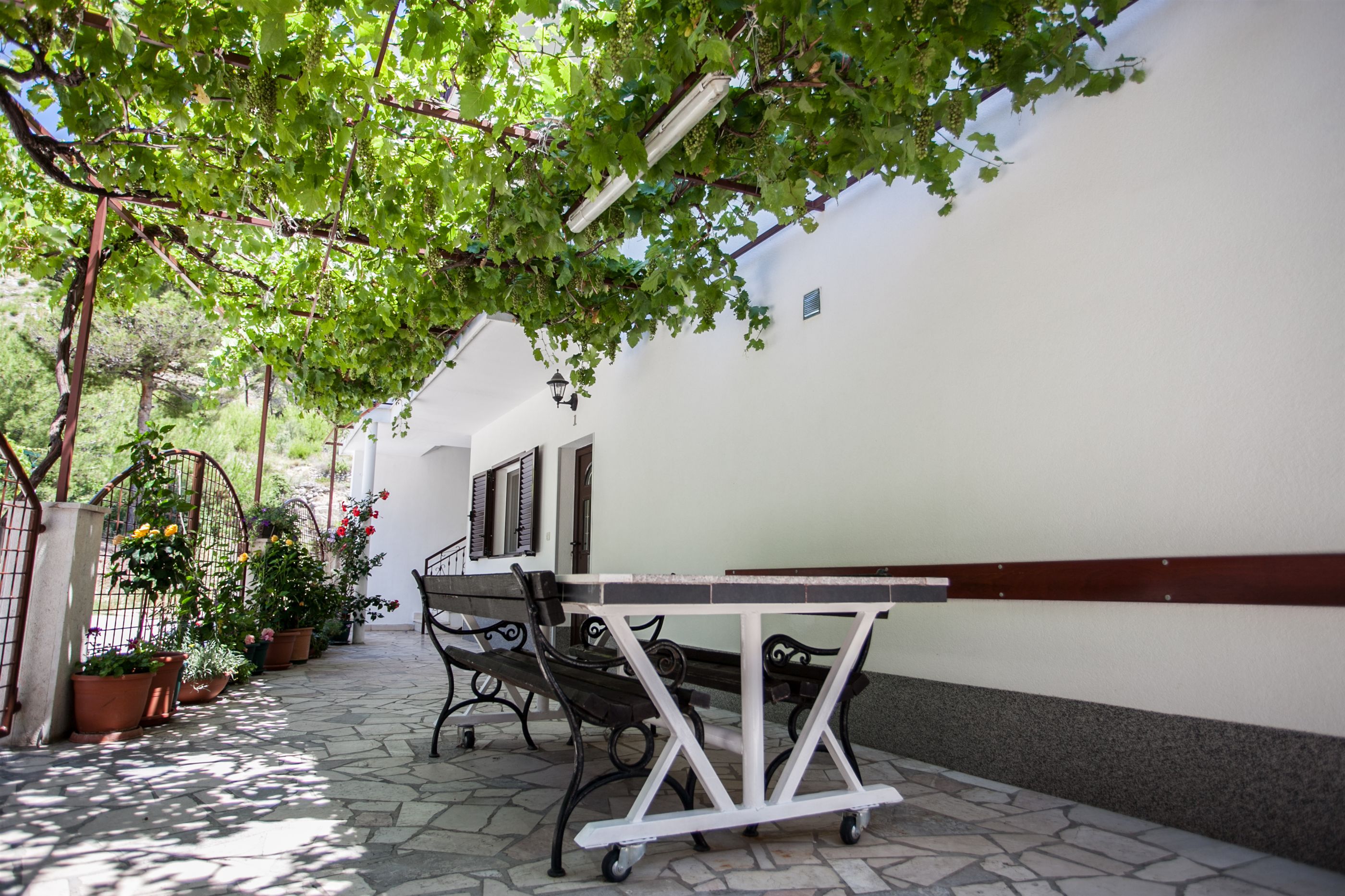 Apartments Mladen 12941-A1