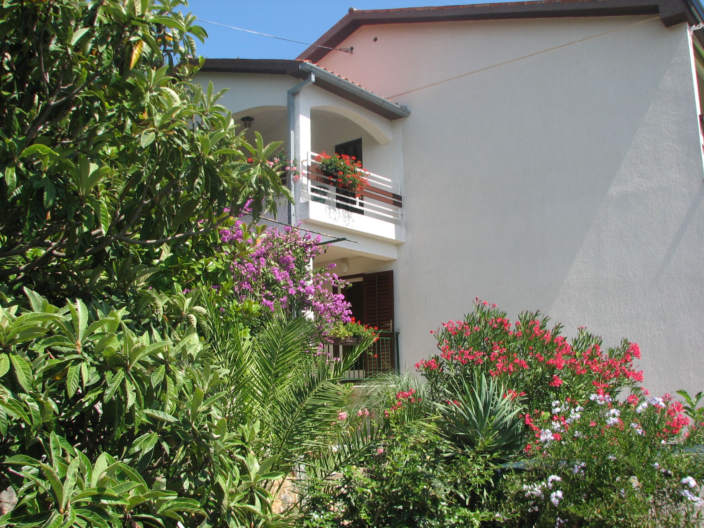 Apartments Magnolia 19331-A2