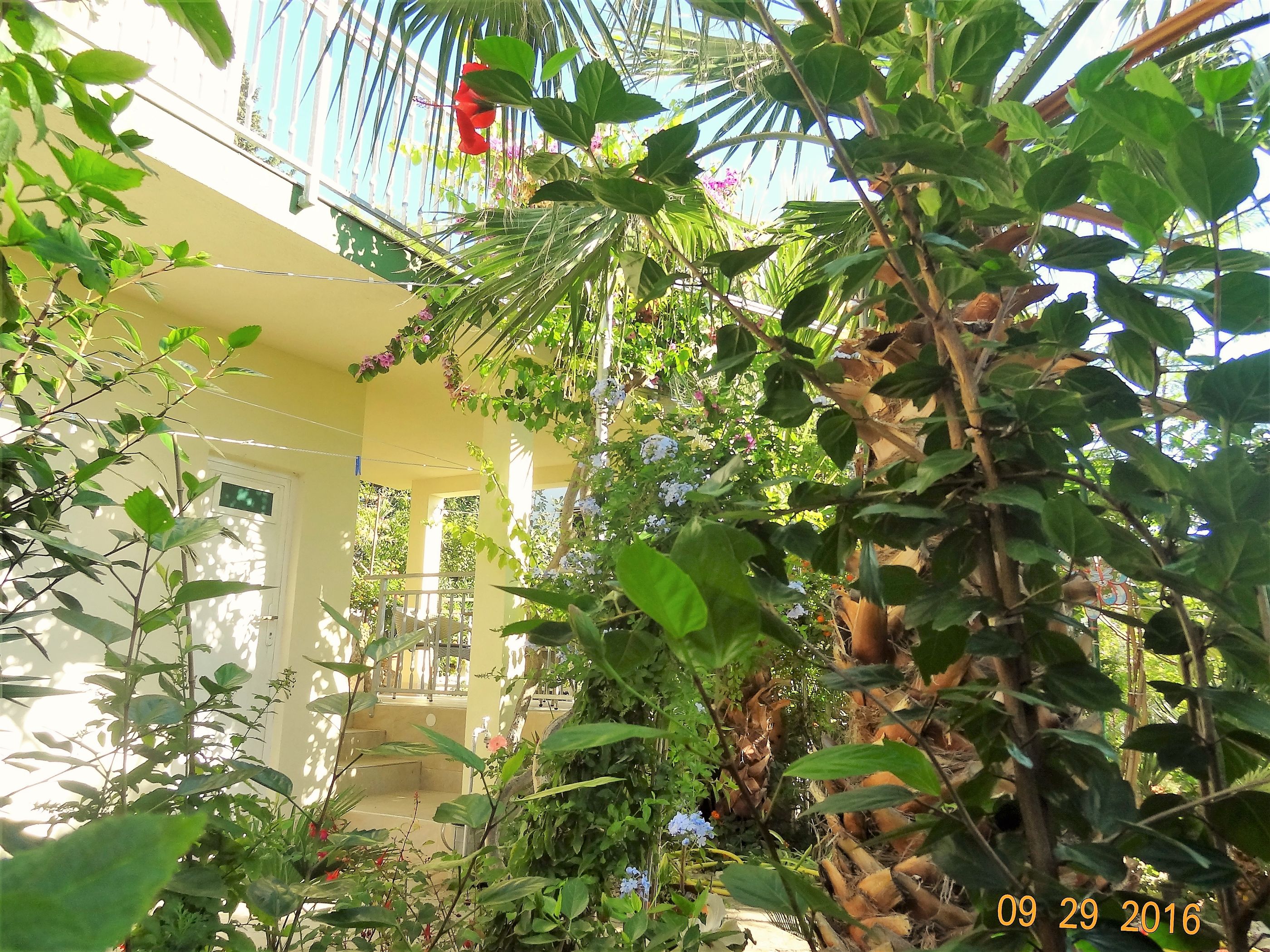 Apartments Branko 38631-A1